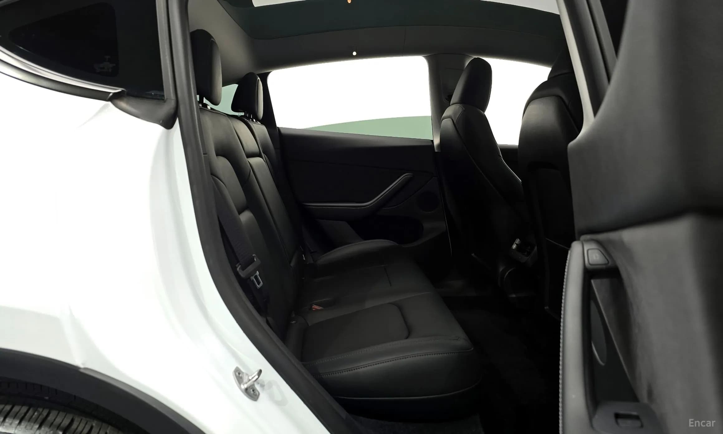Model Y