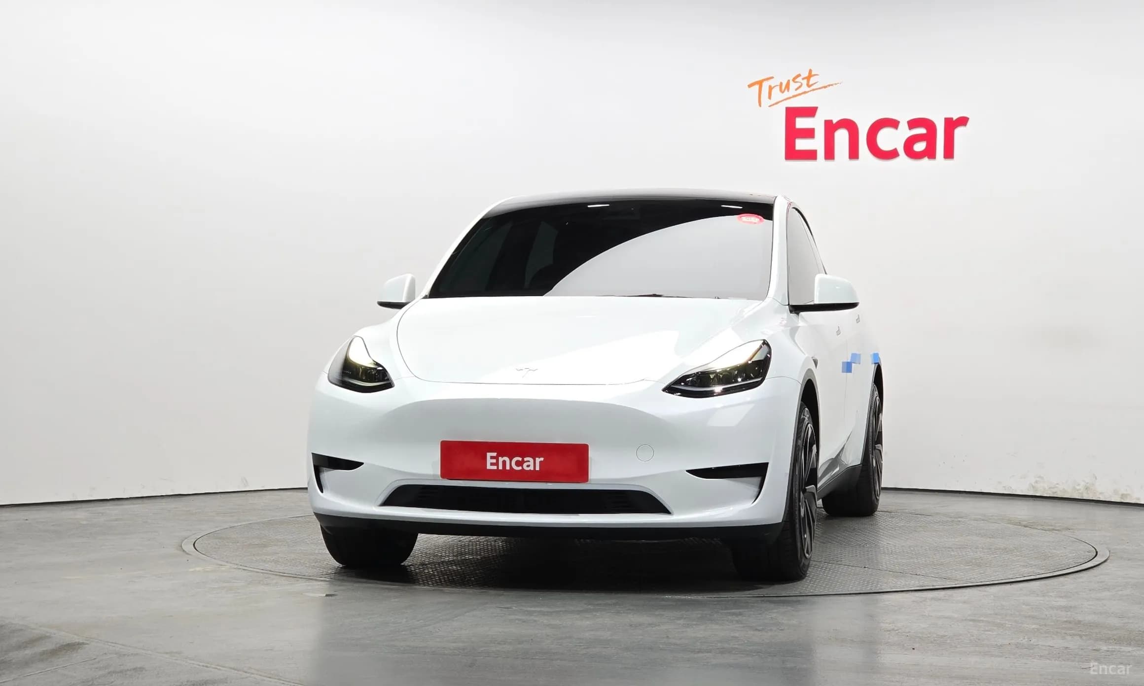 Model Y