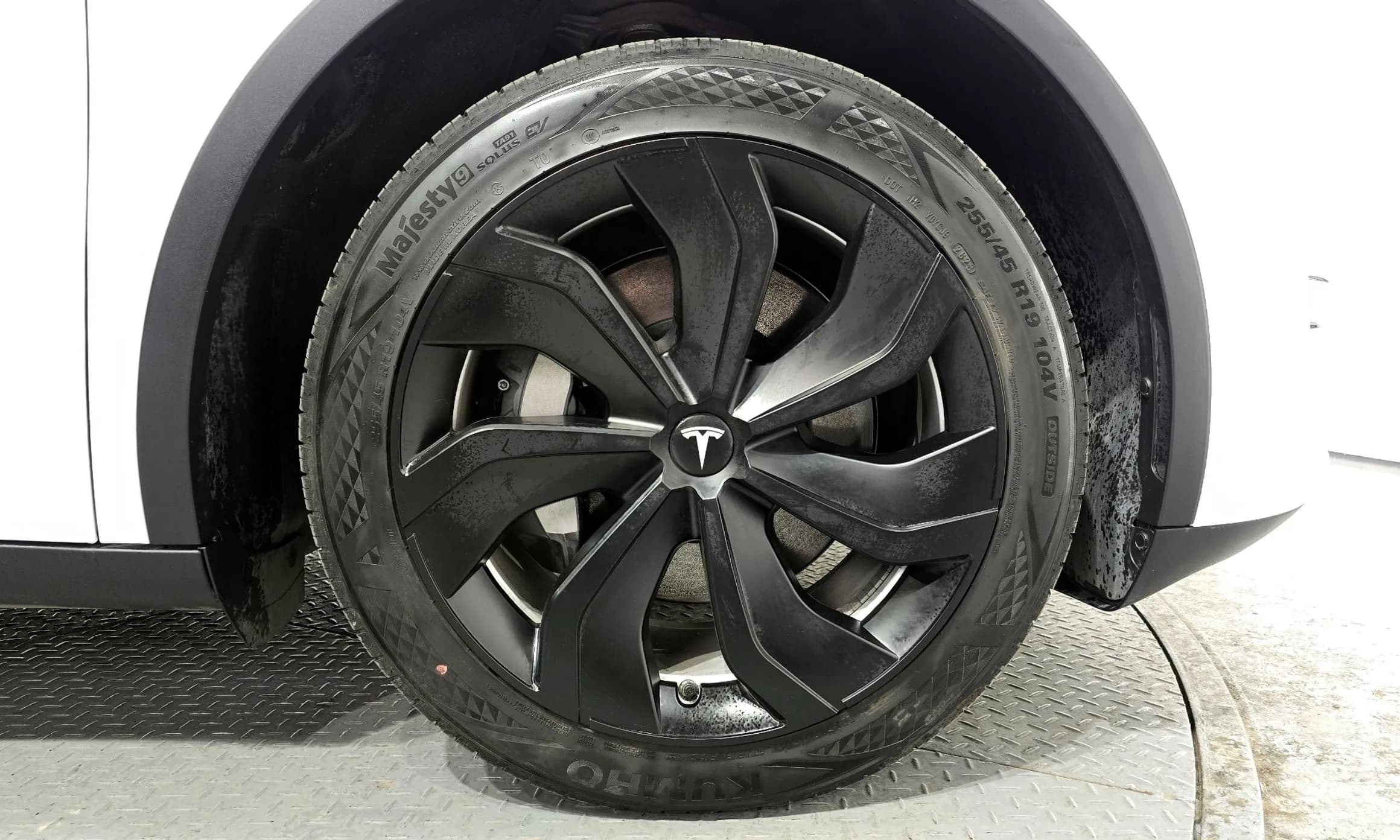 Model Y