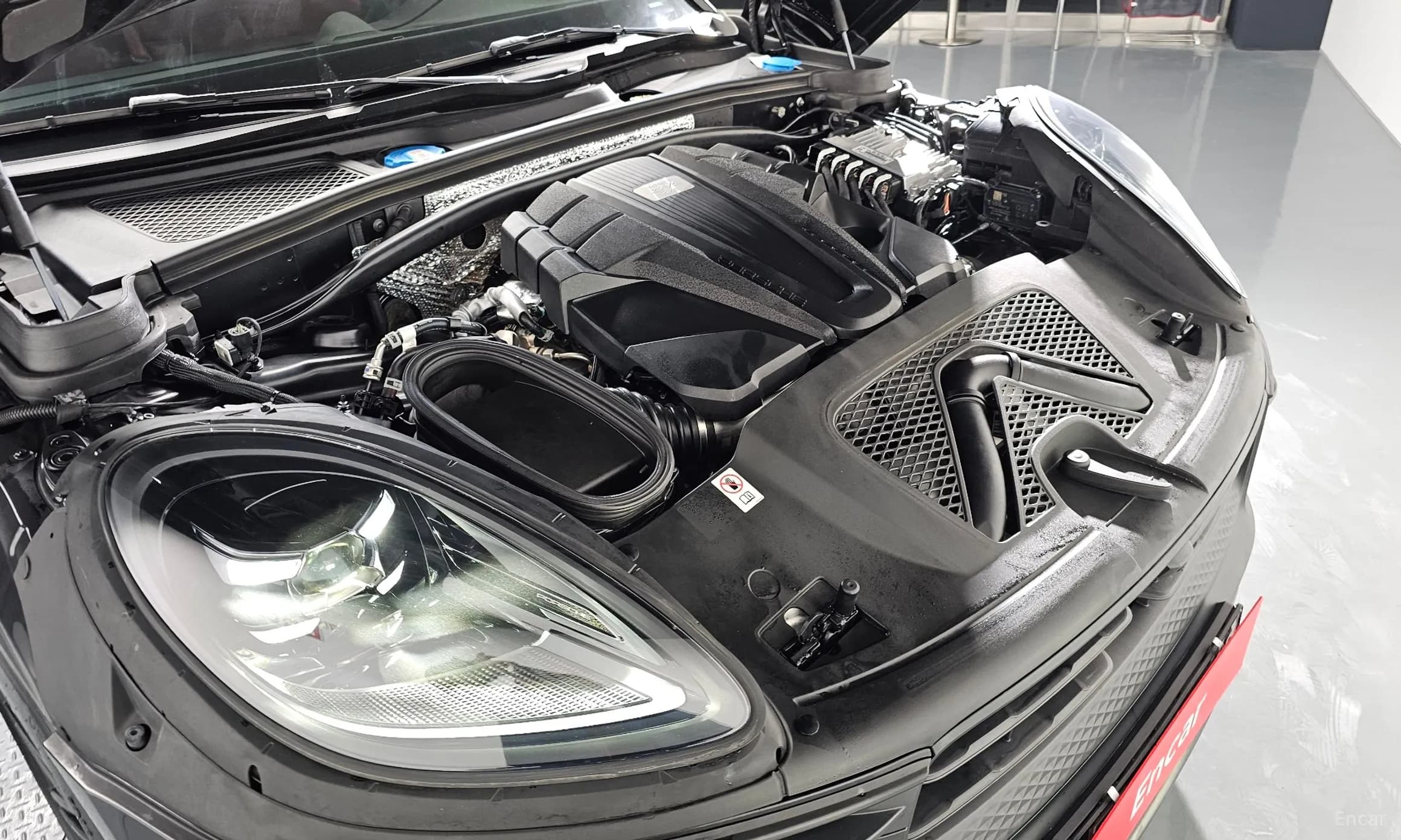 Macan