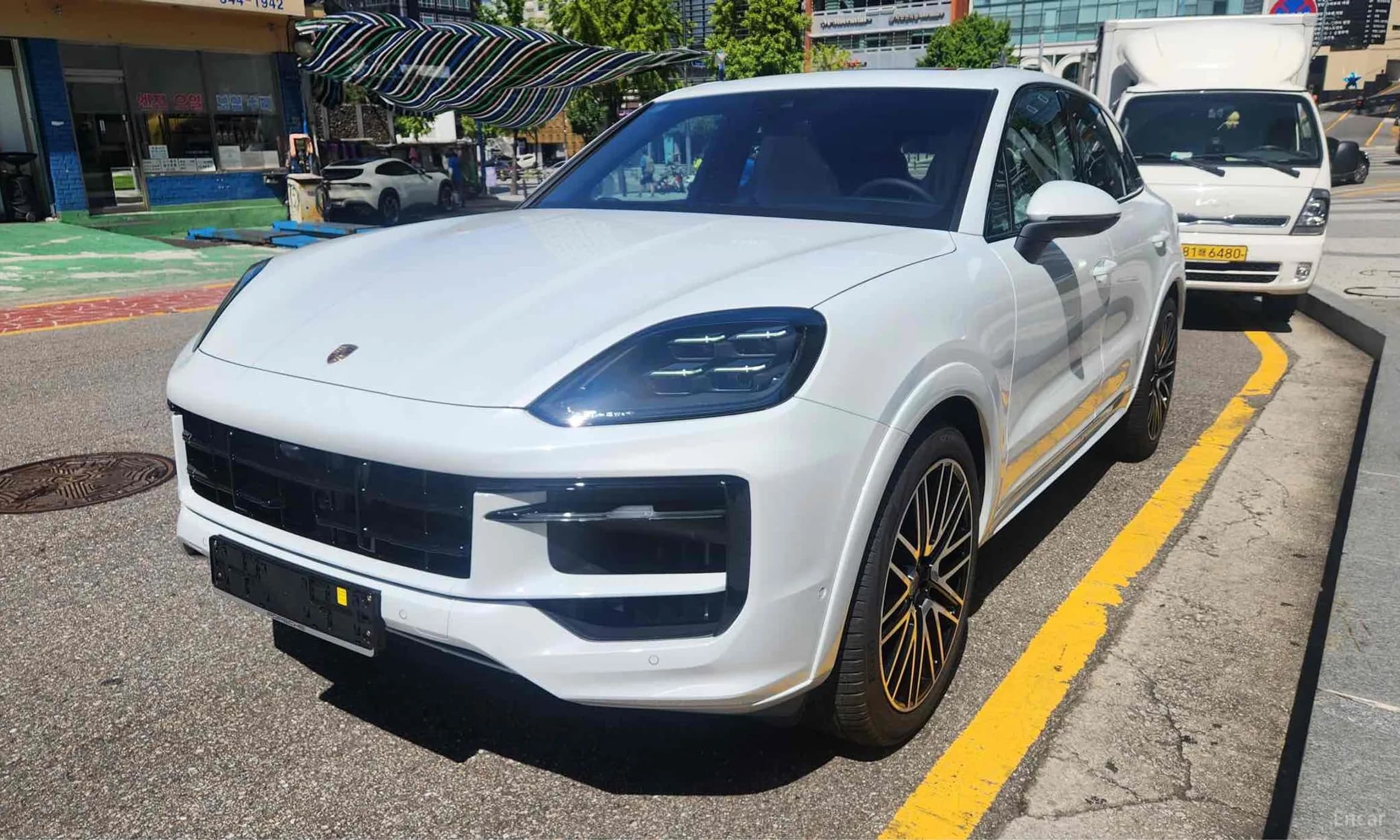 Cayenne (PO536)