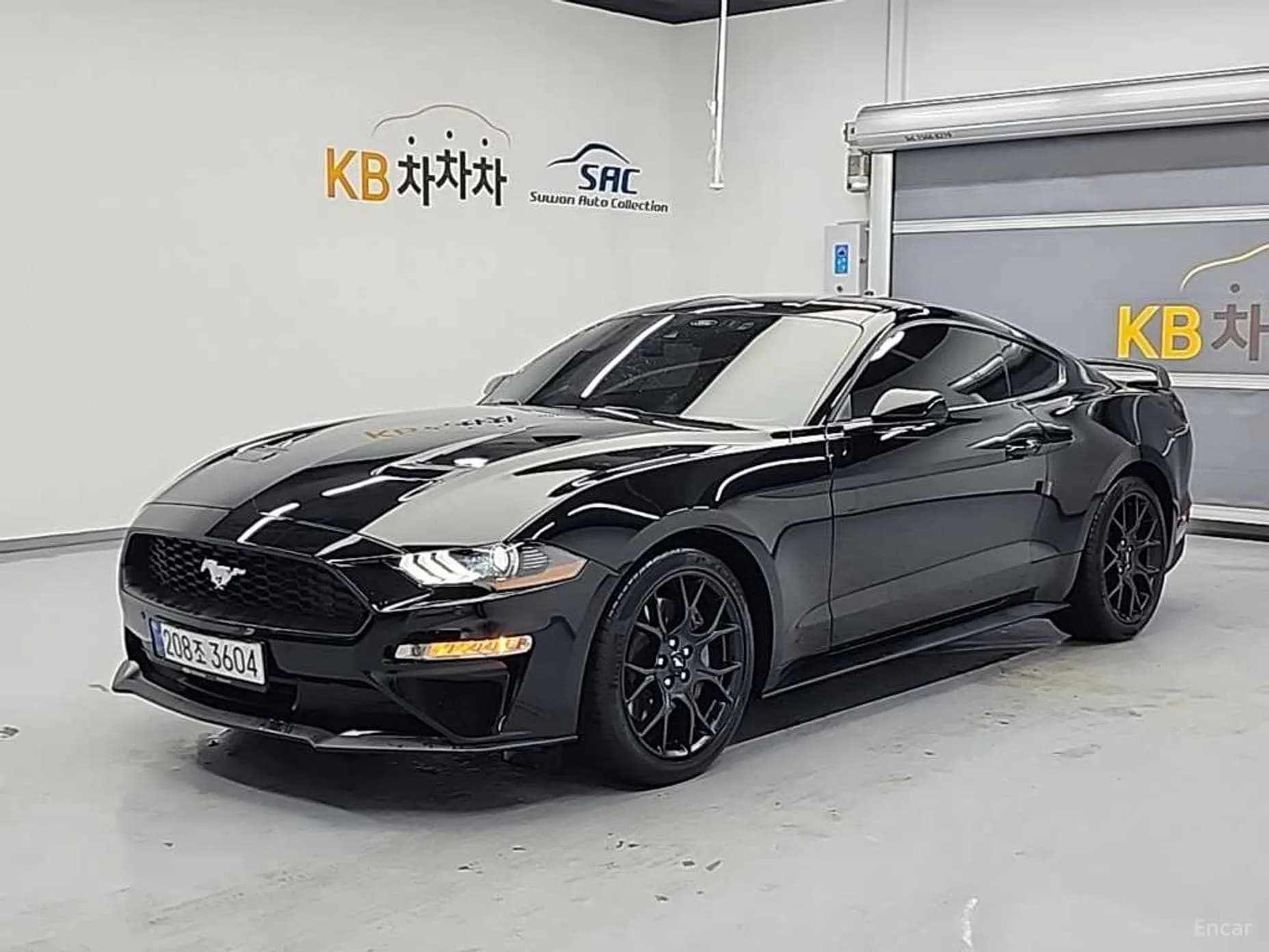 Mustang