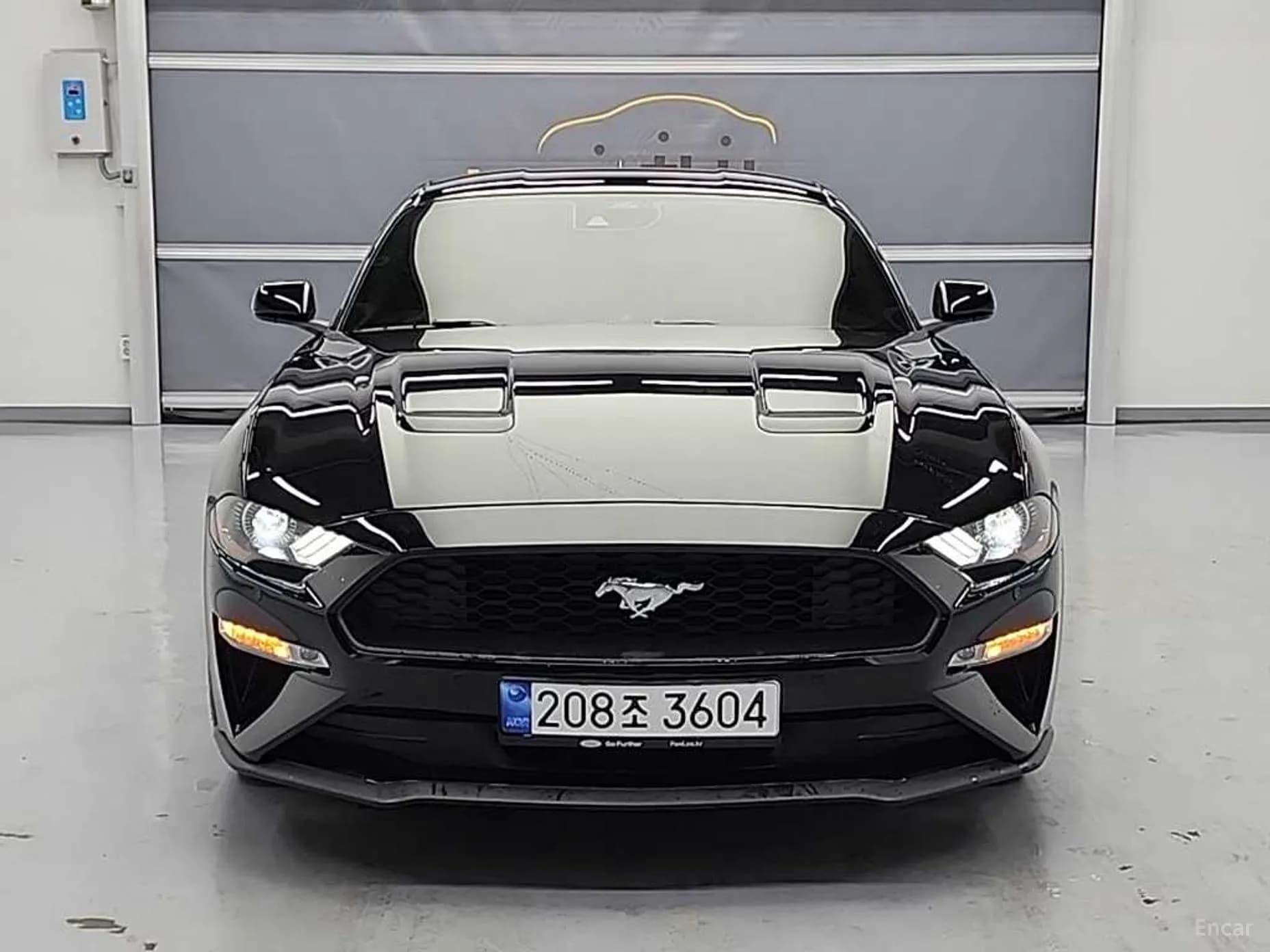Mustang