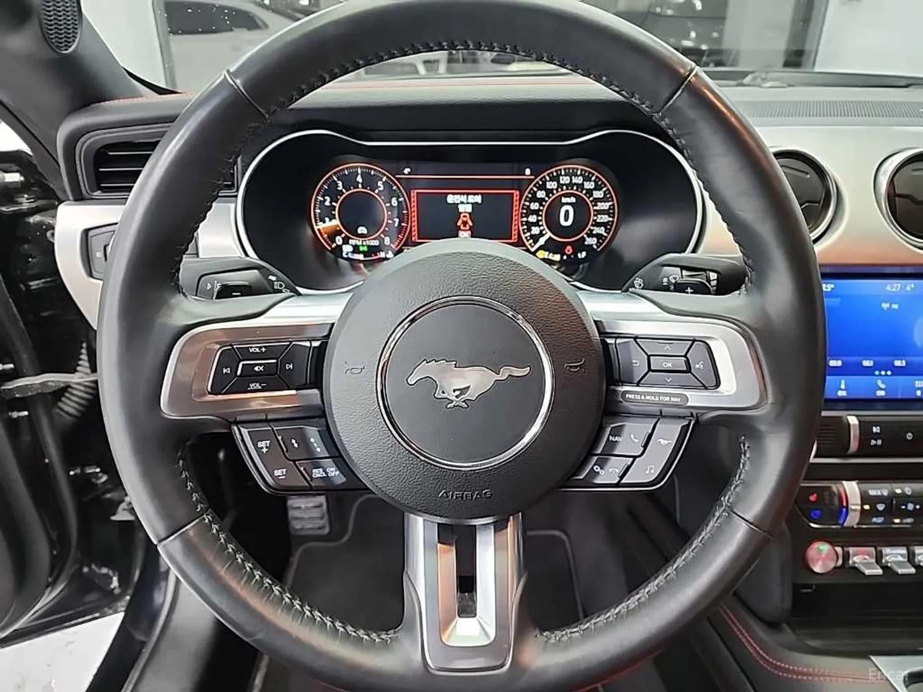 Mustang