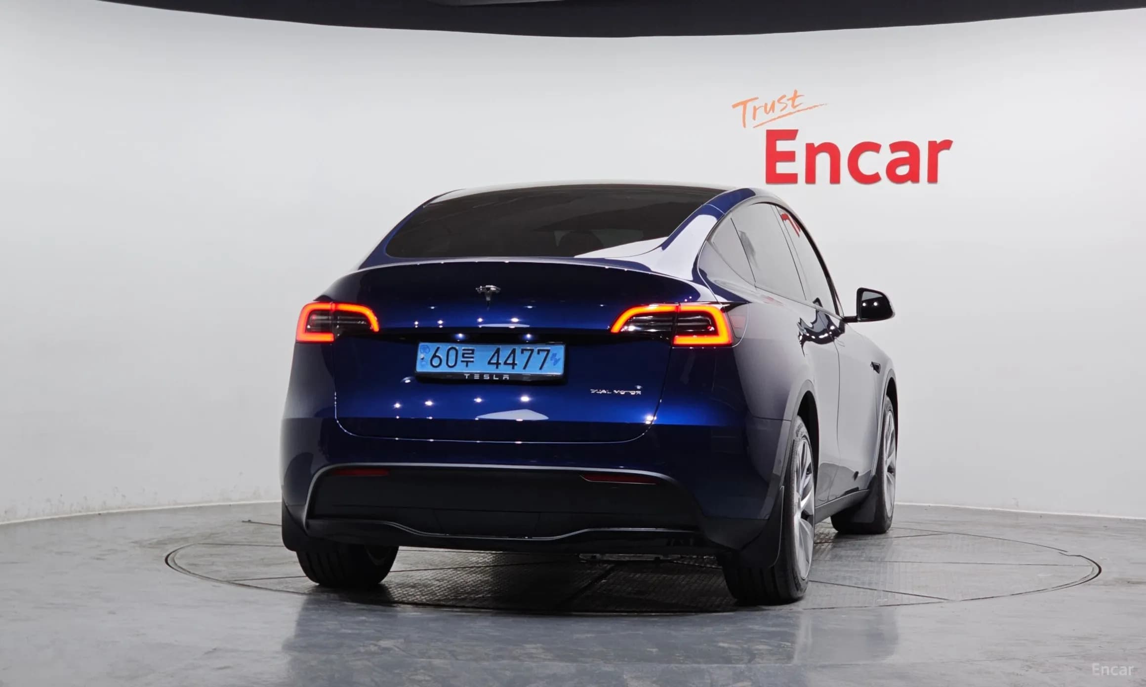 Model Y