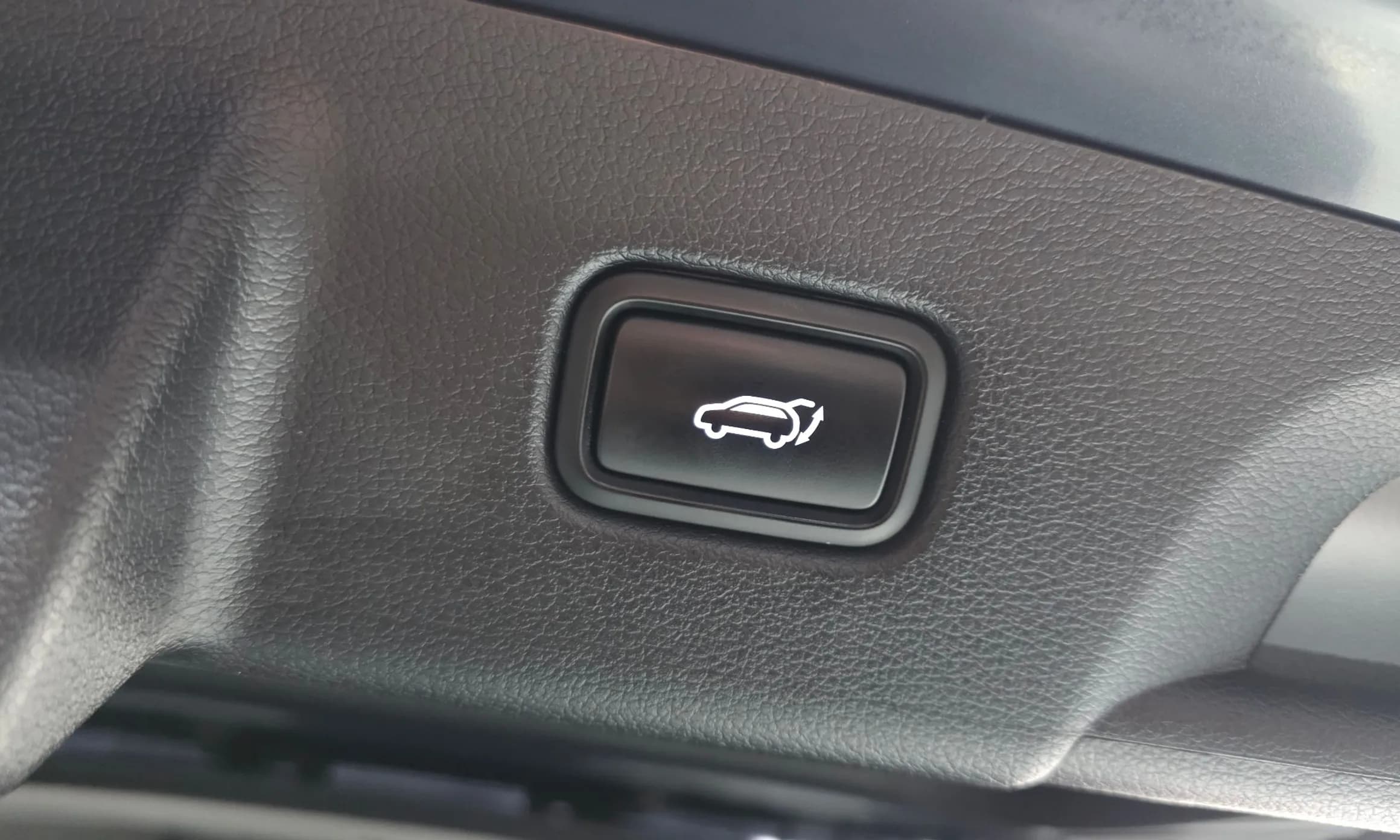 Palisade