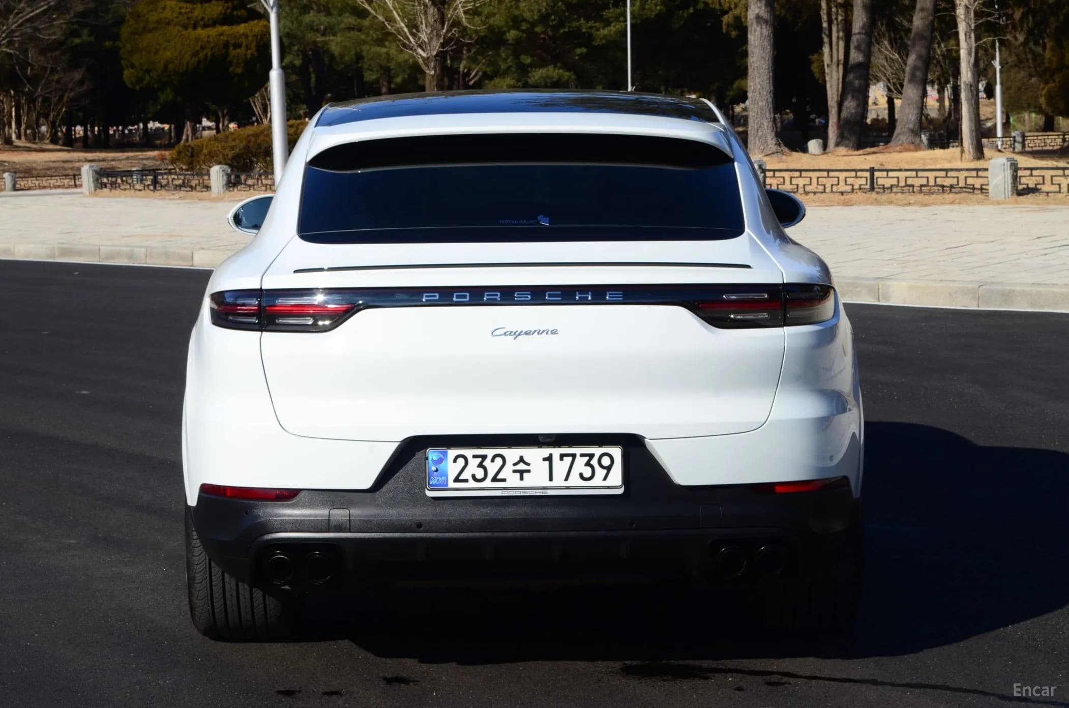 Cayenne (PO536)