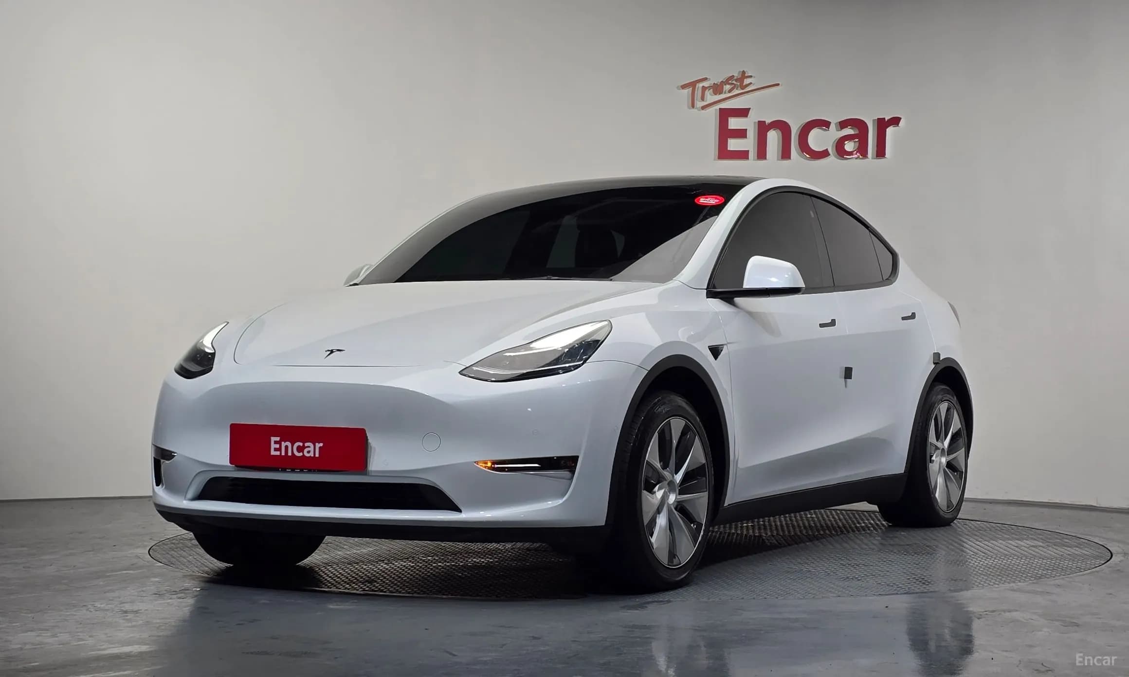 Model Y
