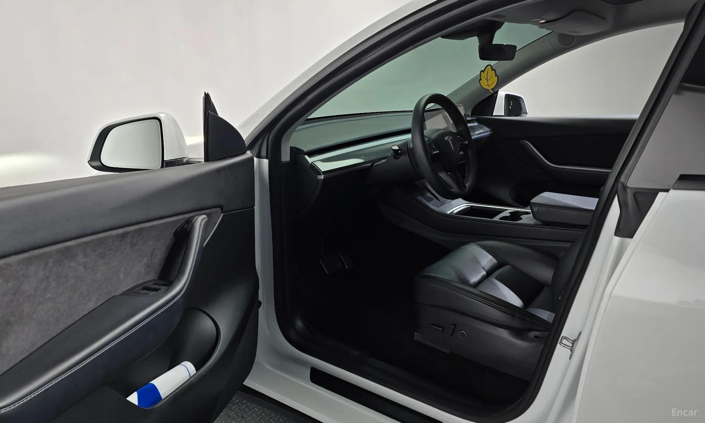 Model Y