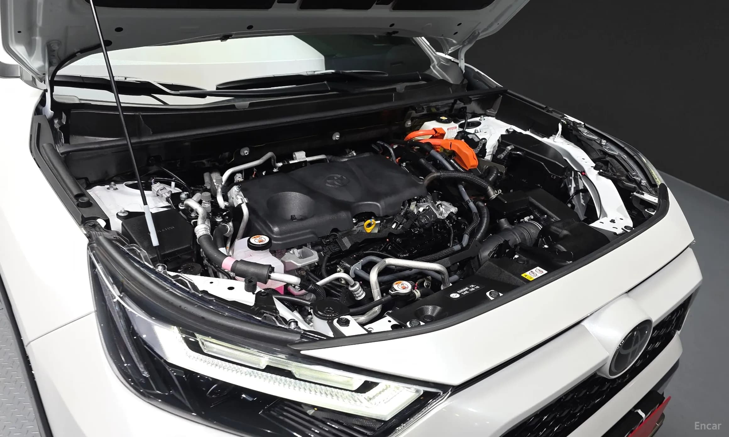 RAV4 5th Generation