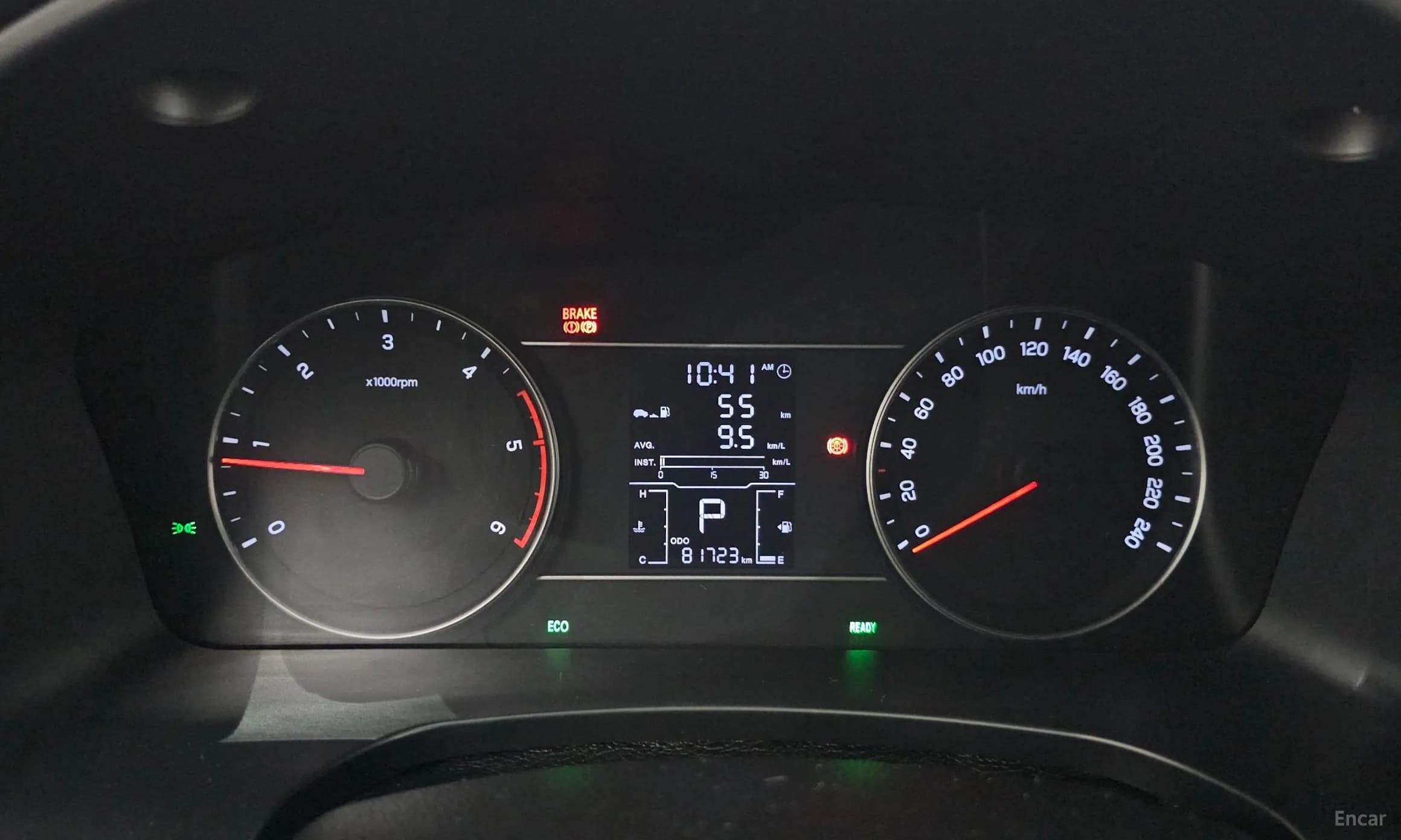 Rexton Sports