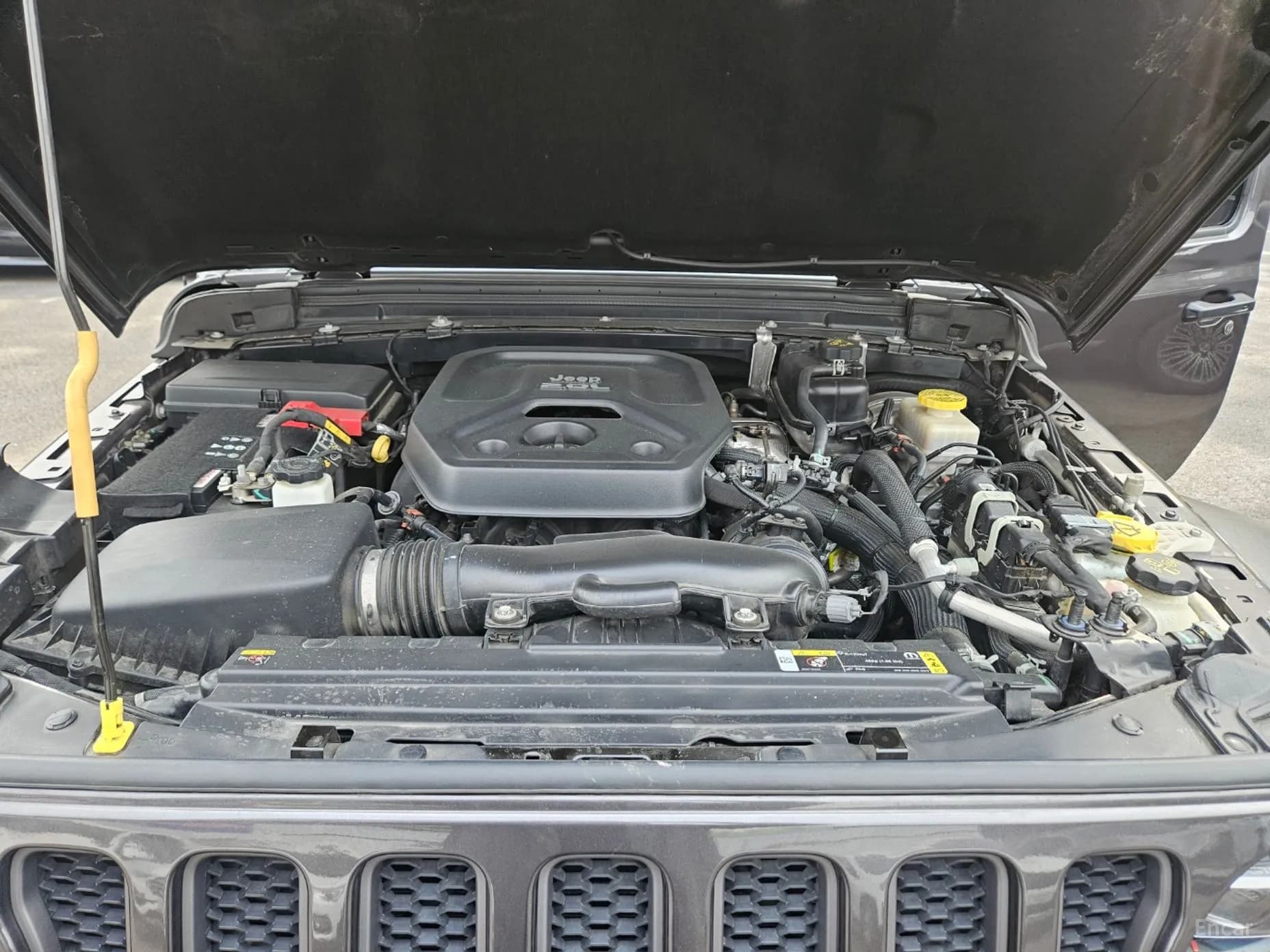 Wrangler (JL)