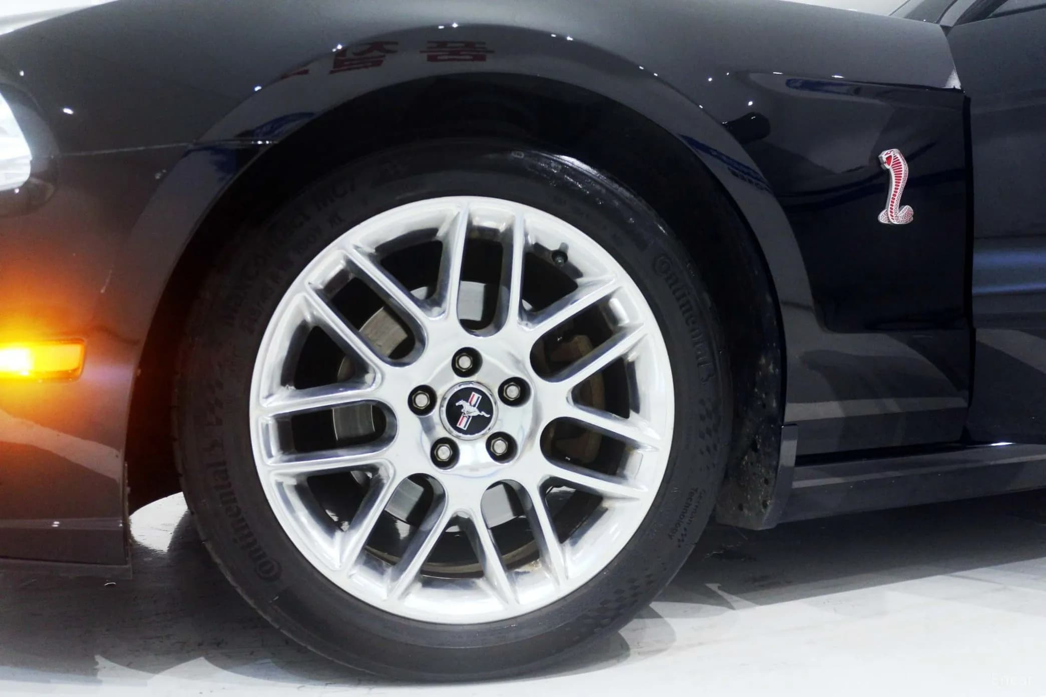 Mustang
