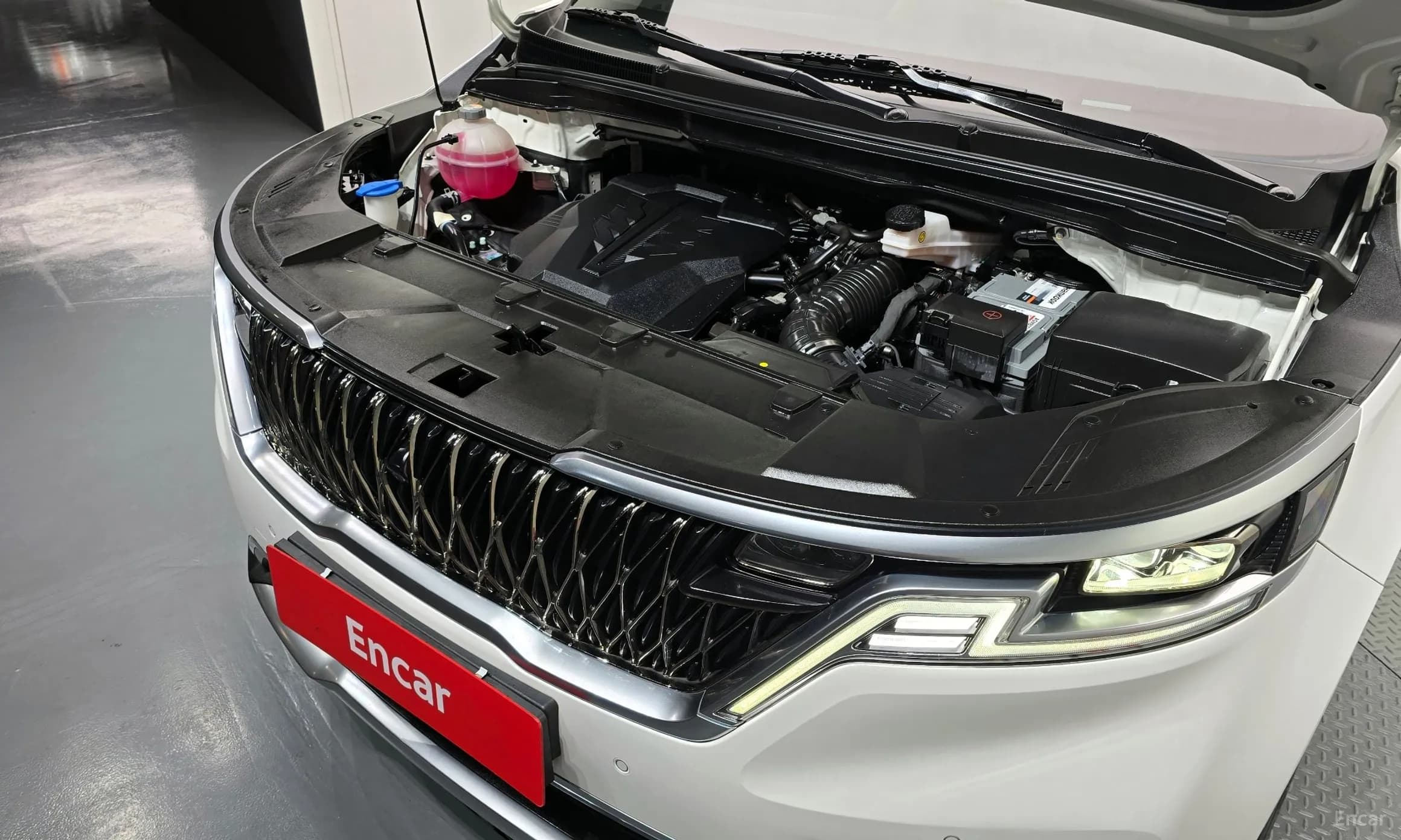 Carnival Gen 4