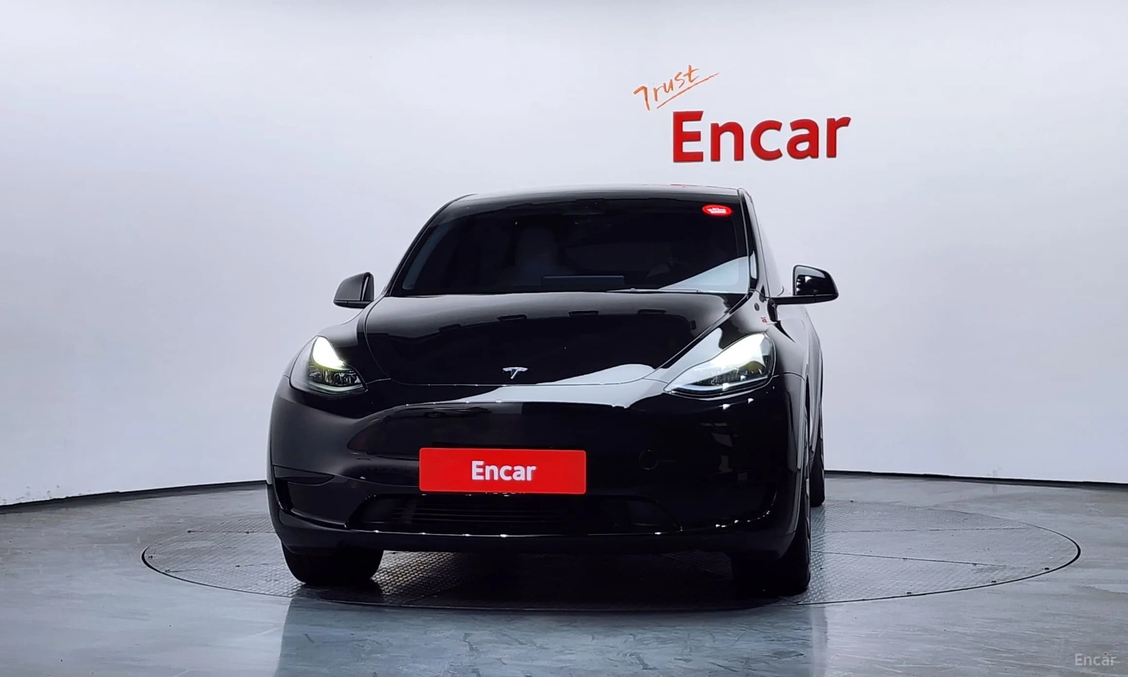 Model Y