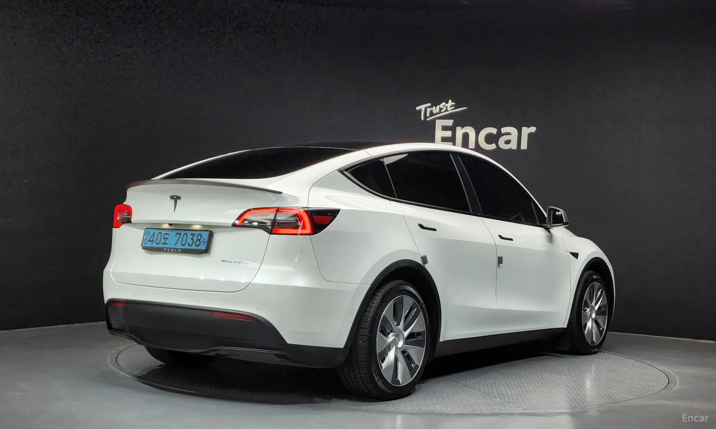 Model Y