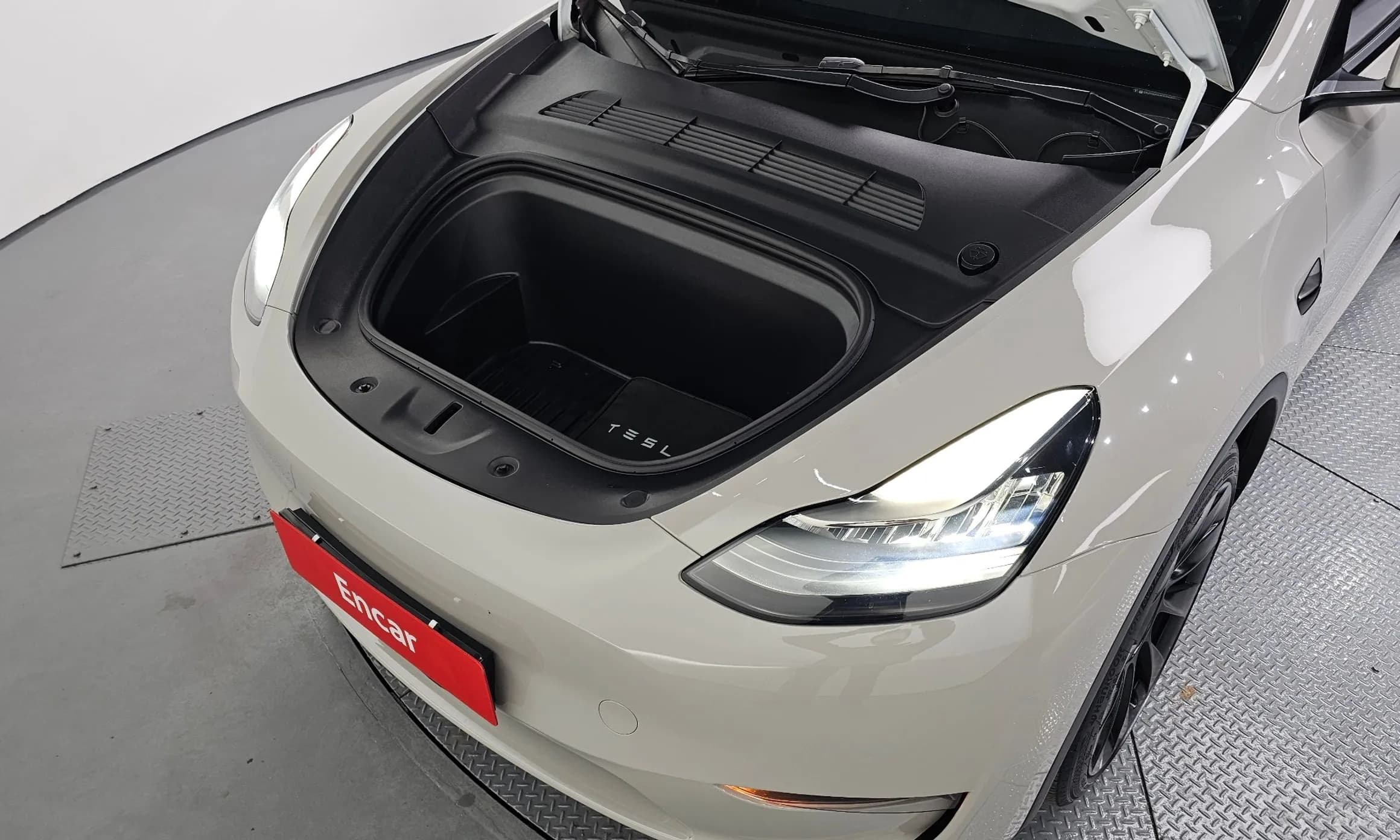 Model Y