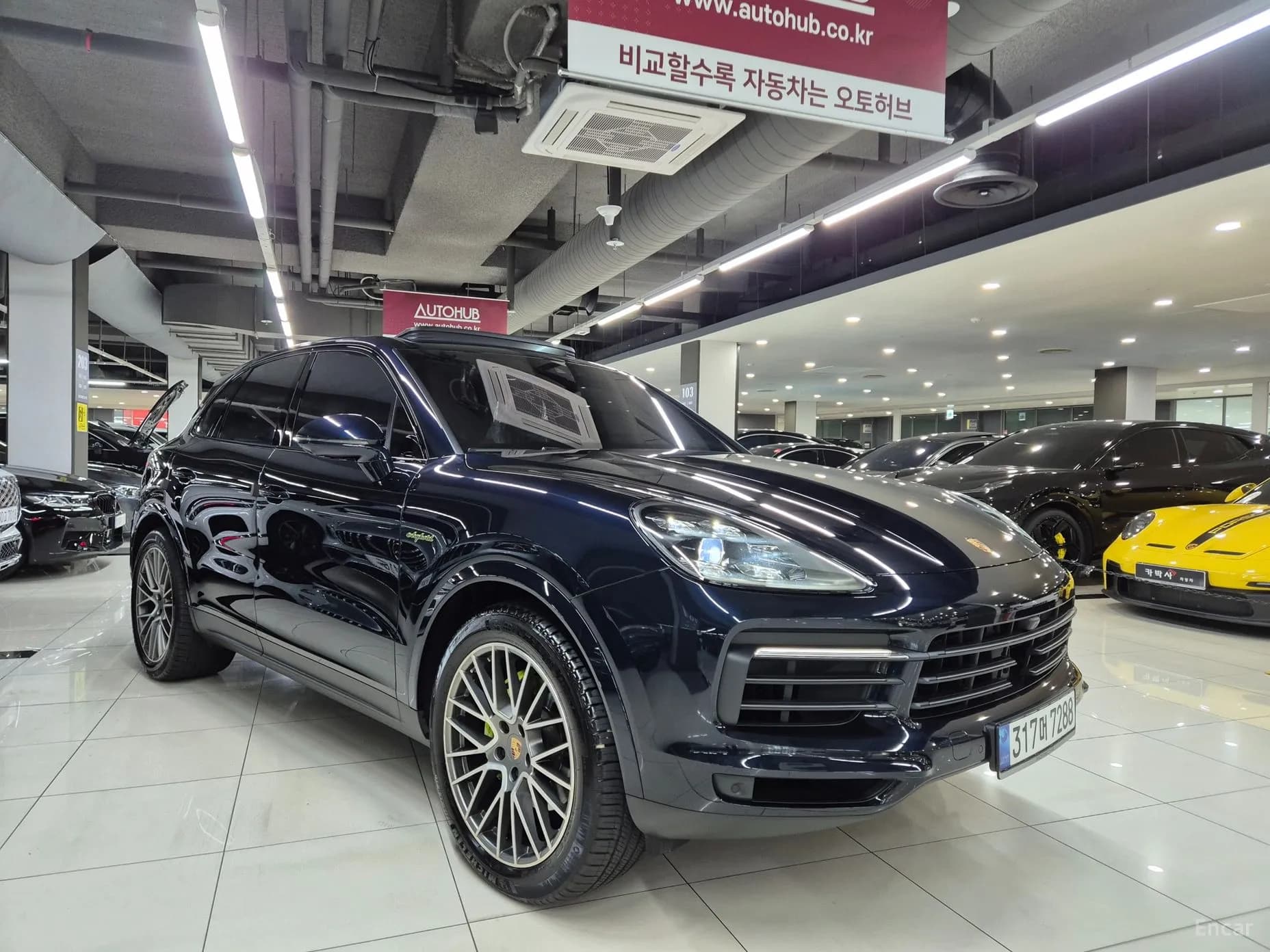 Cayenne (PO536)