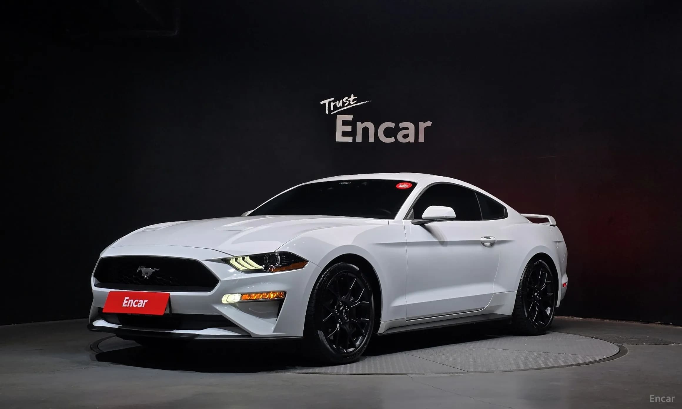Mustang