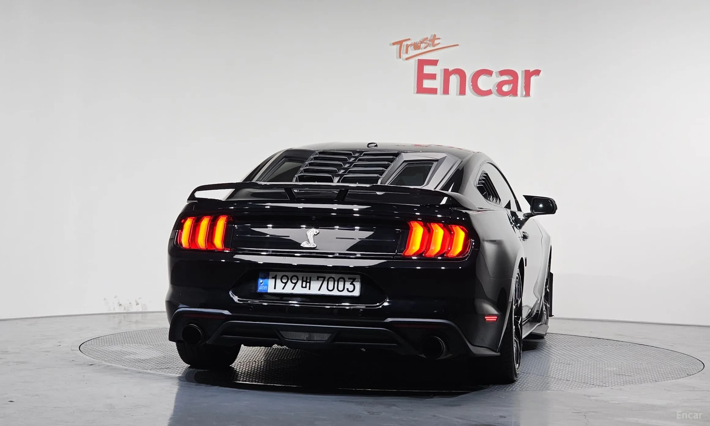 Mustang