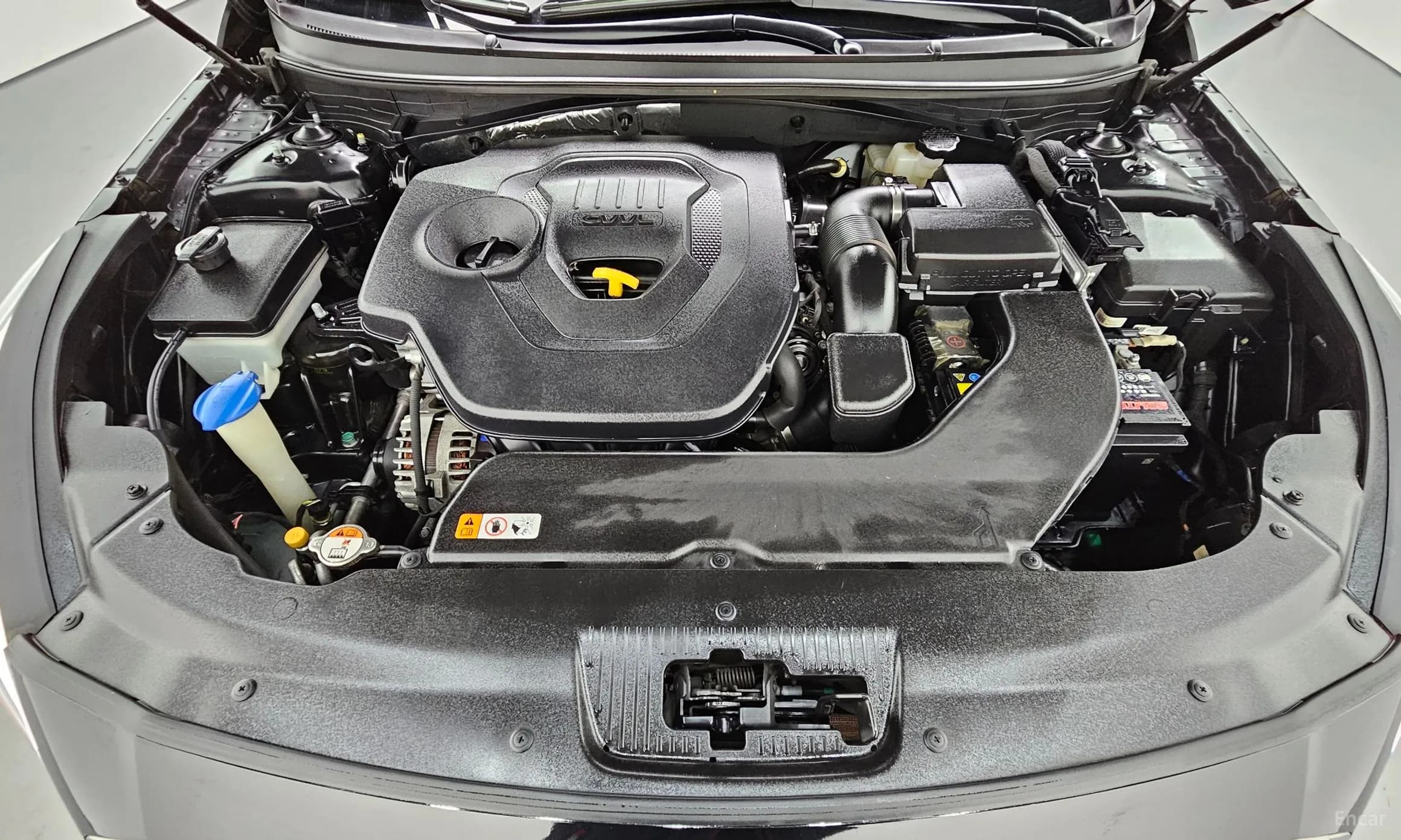 LF Sonata