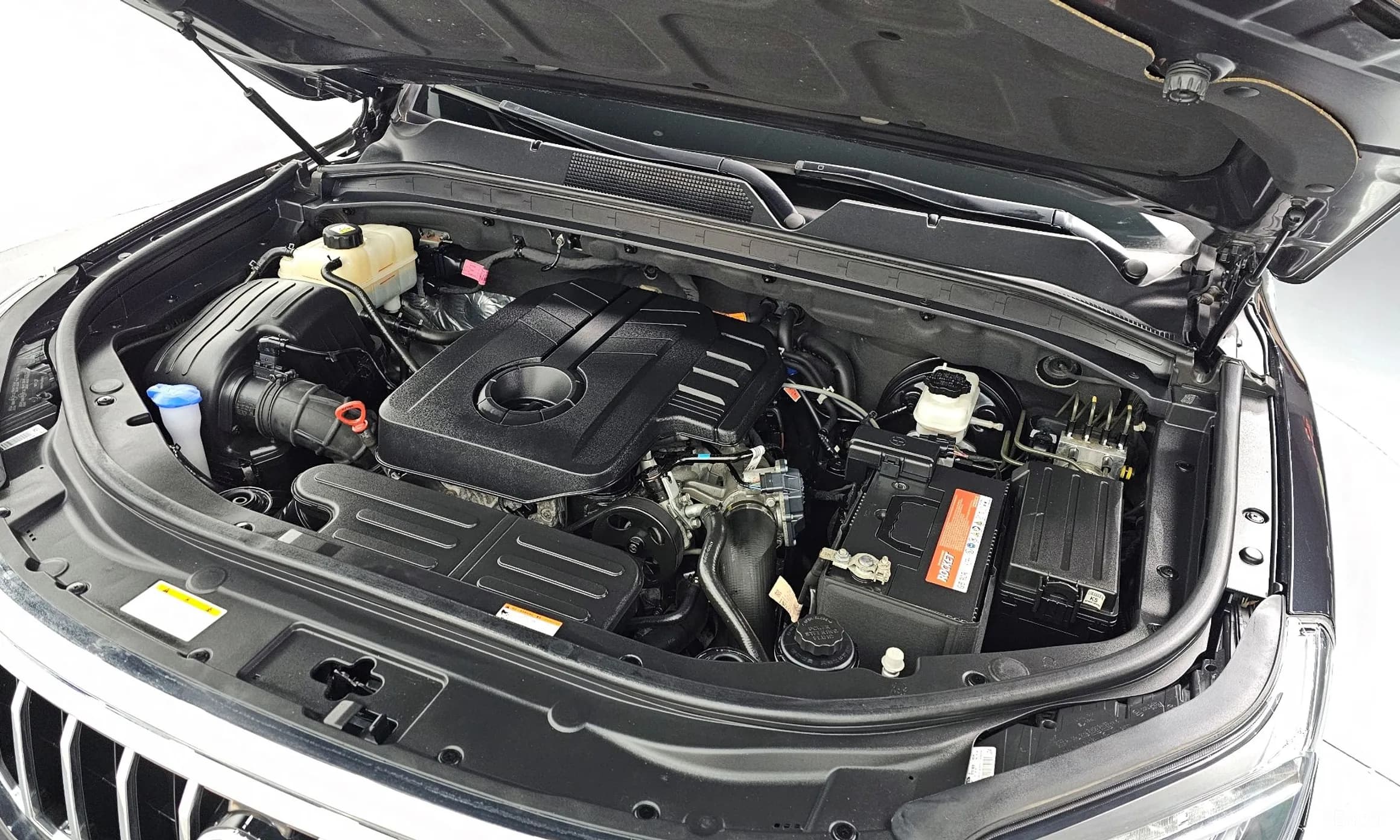 Rexton Sports Khan