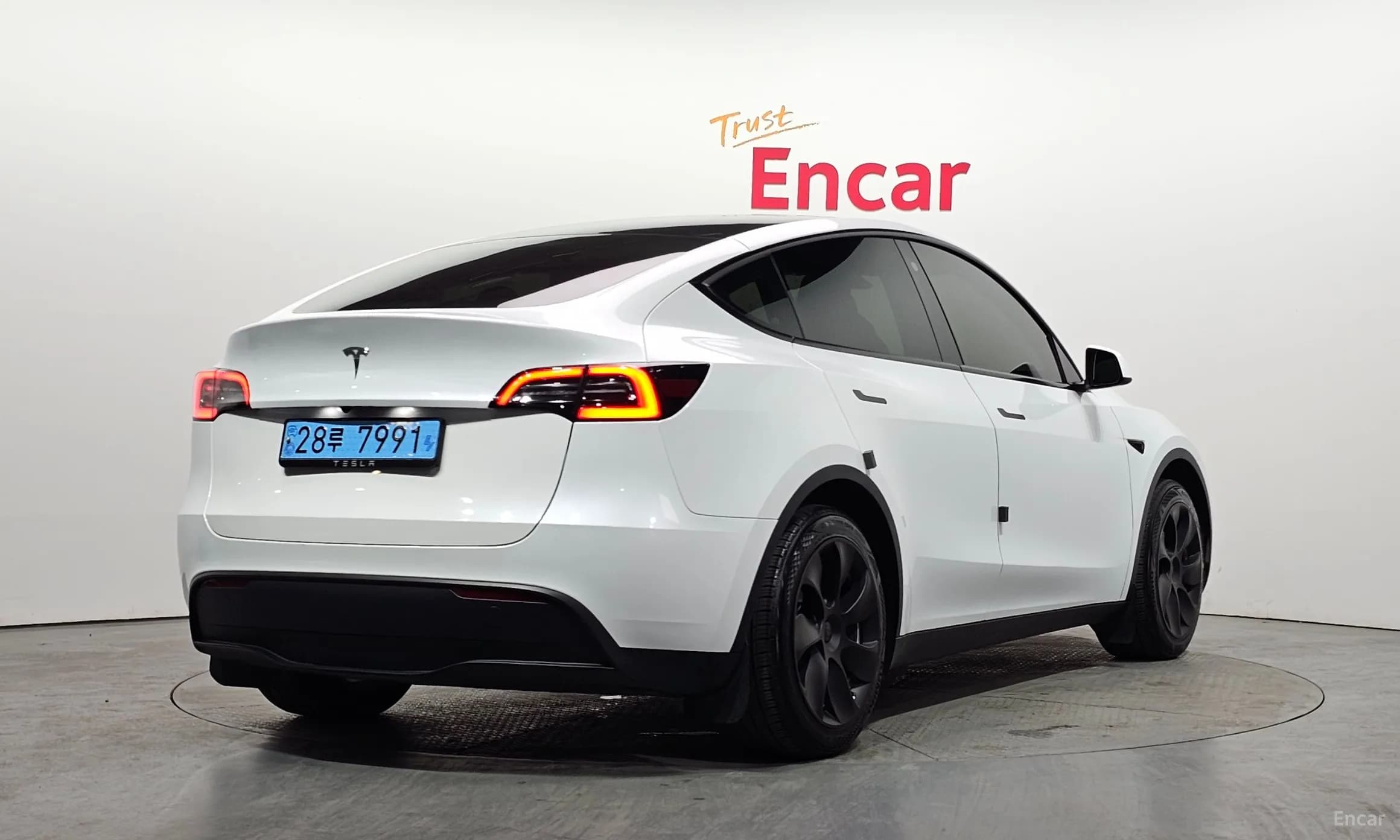 Model Y