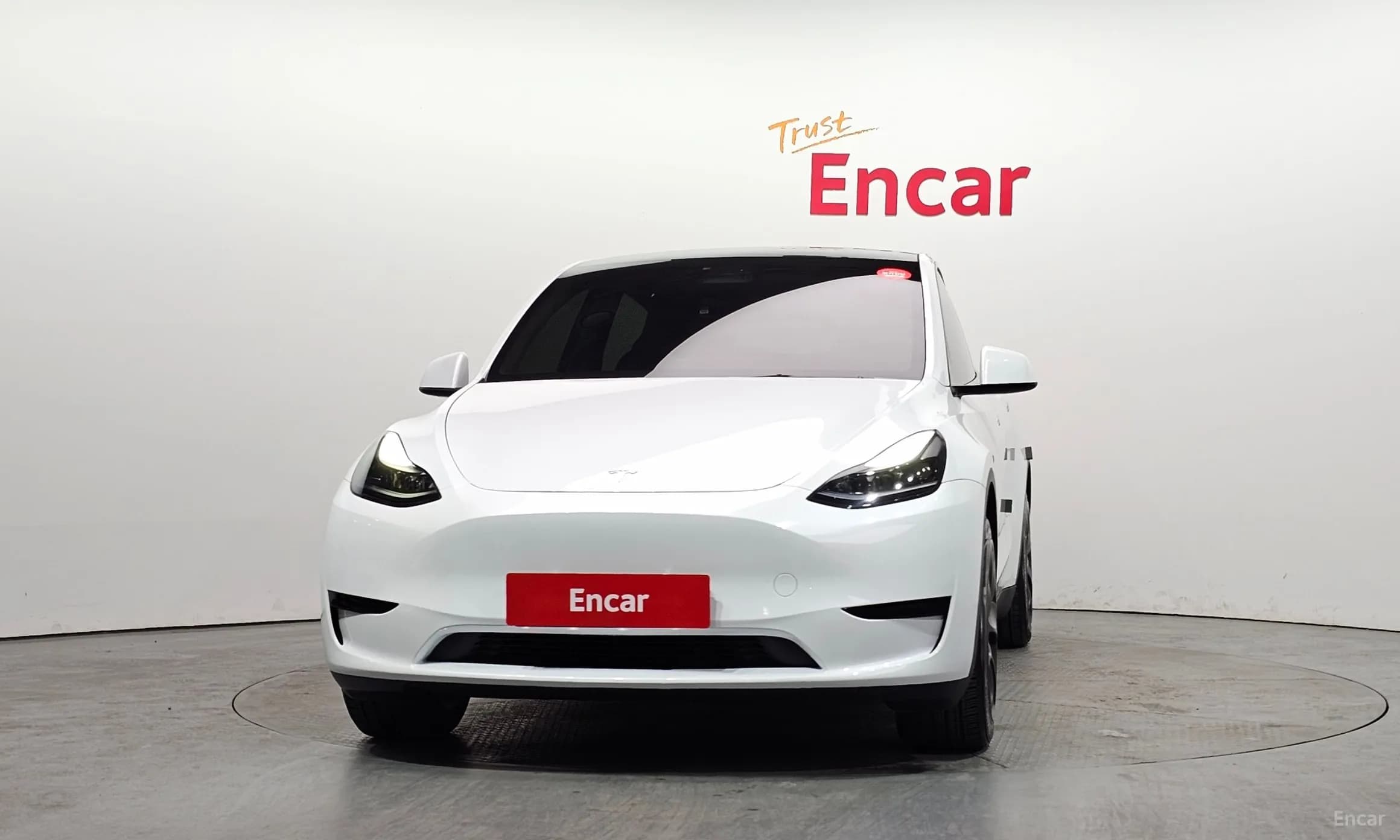 Model Y