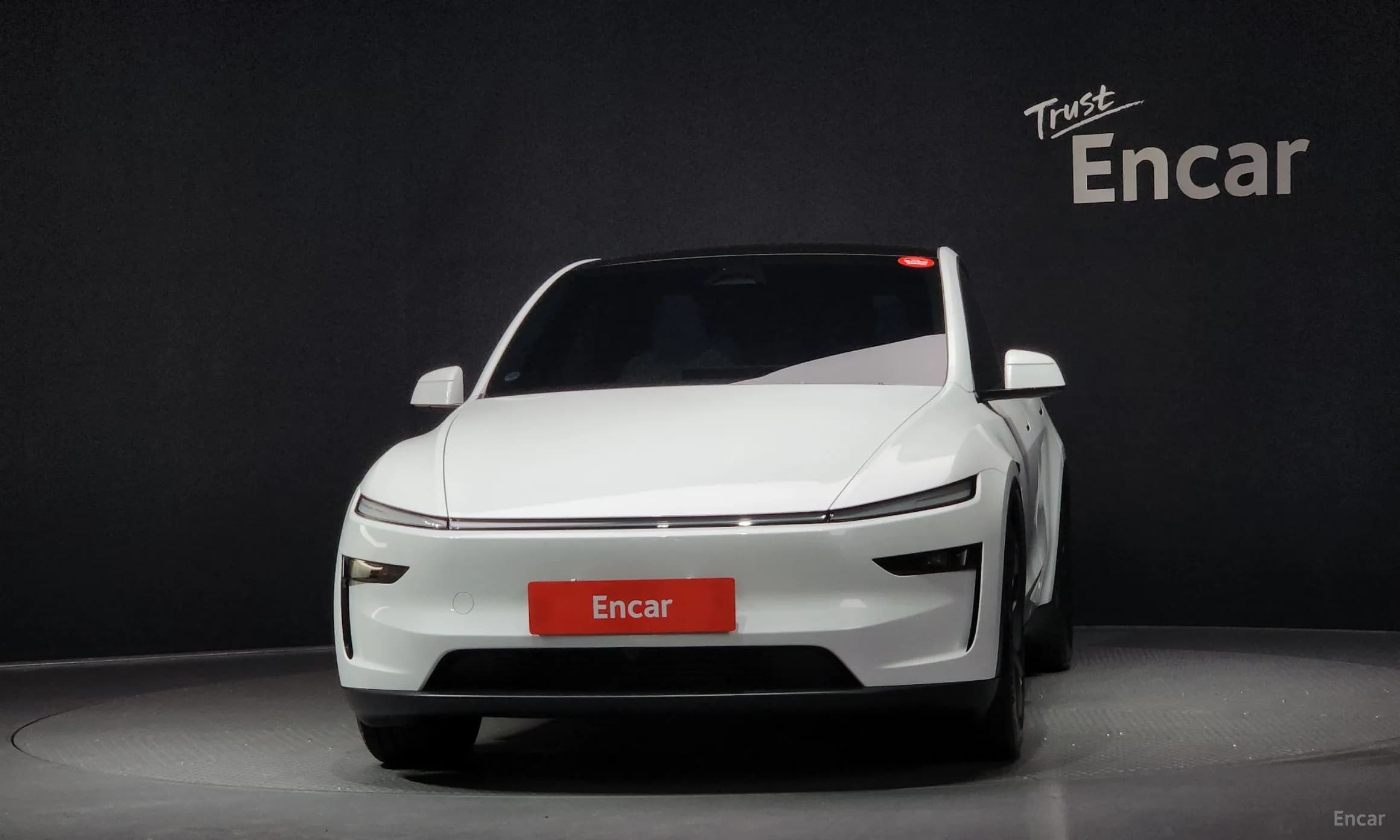 Model Y