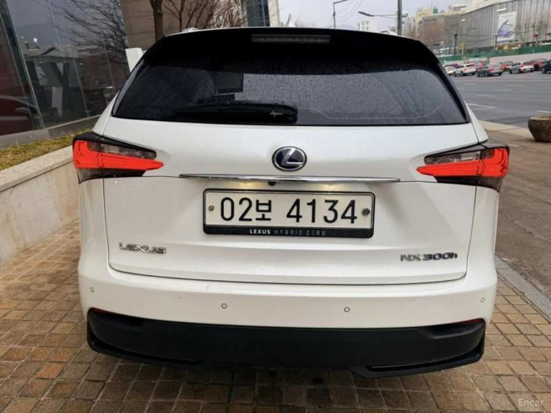 NX300h