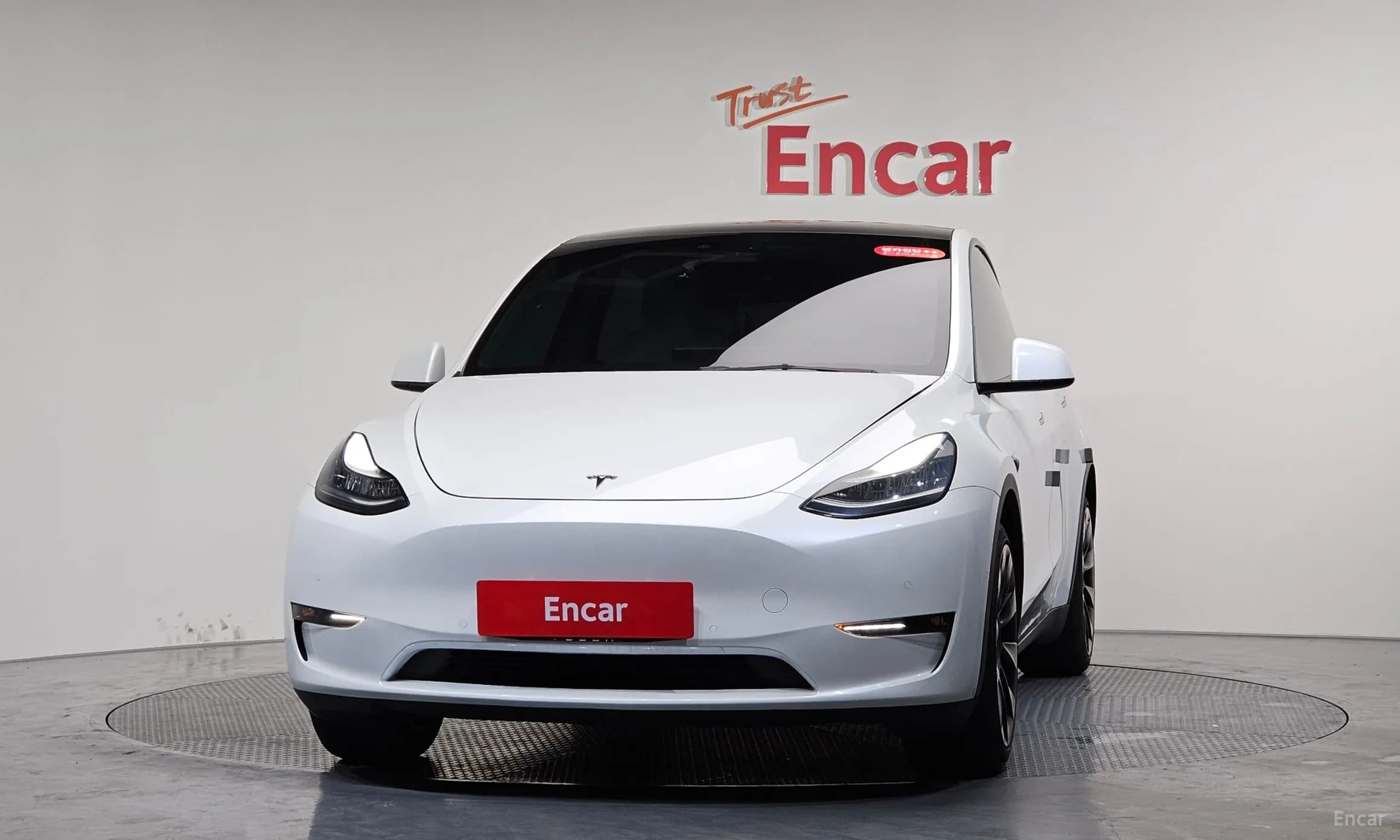 Model Y