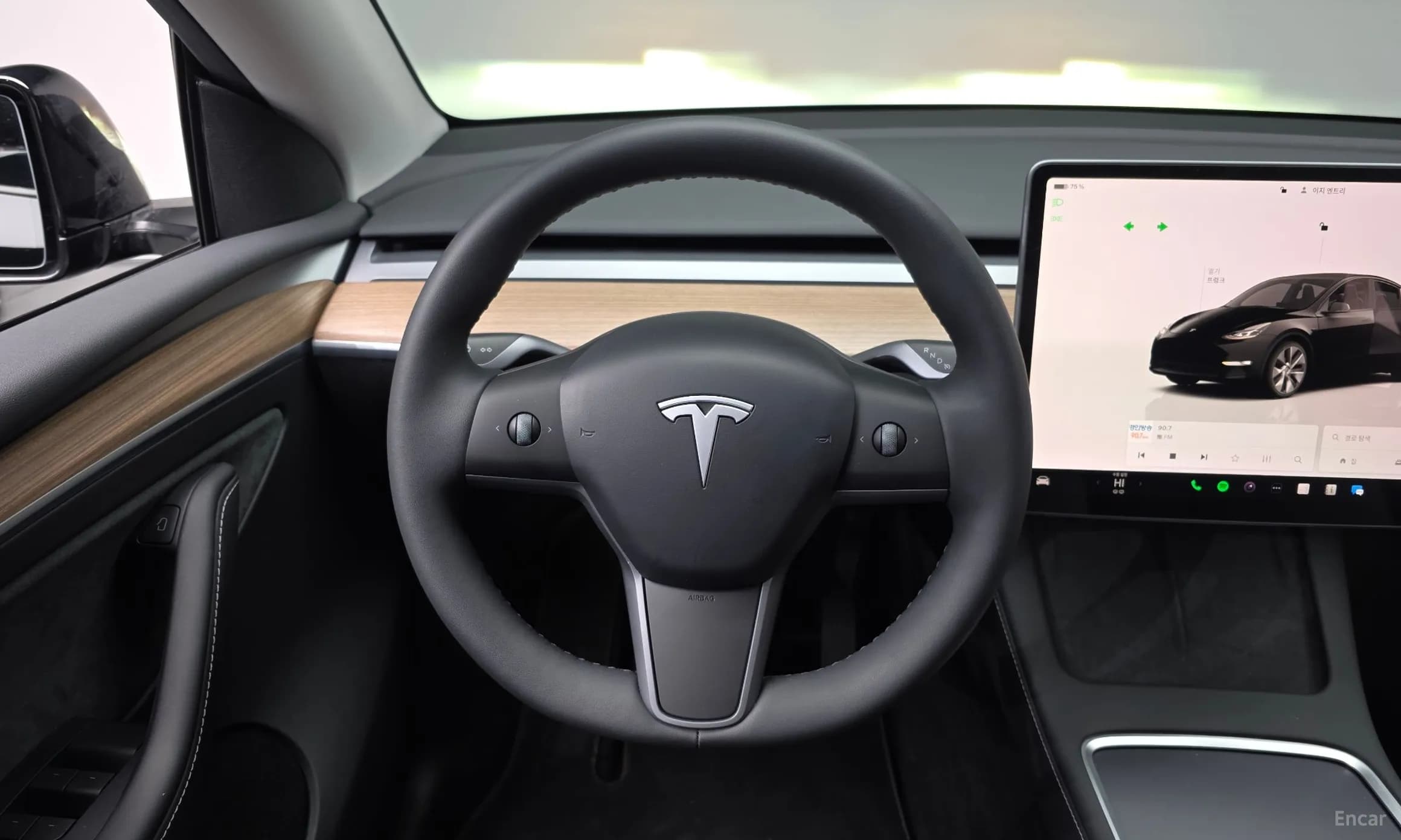 Model Y