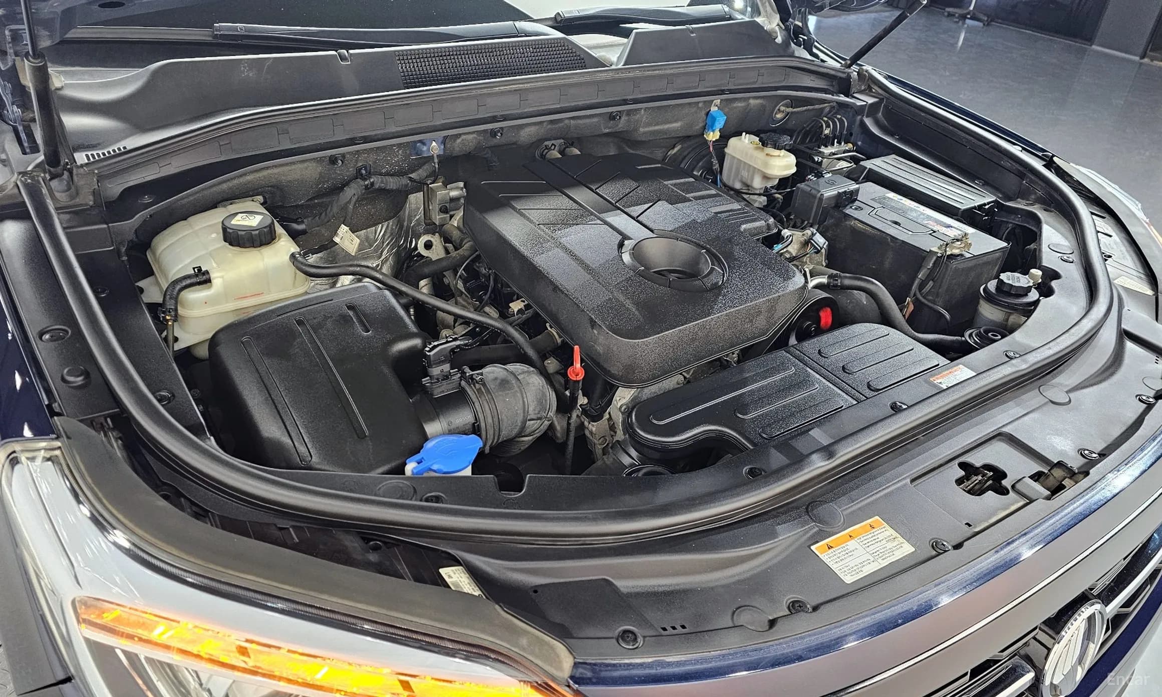 Rexton Sports