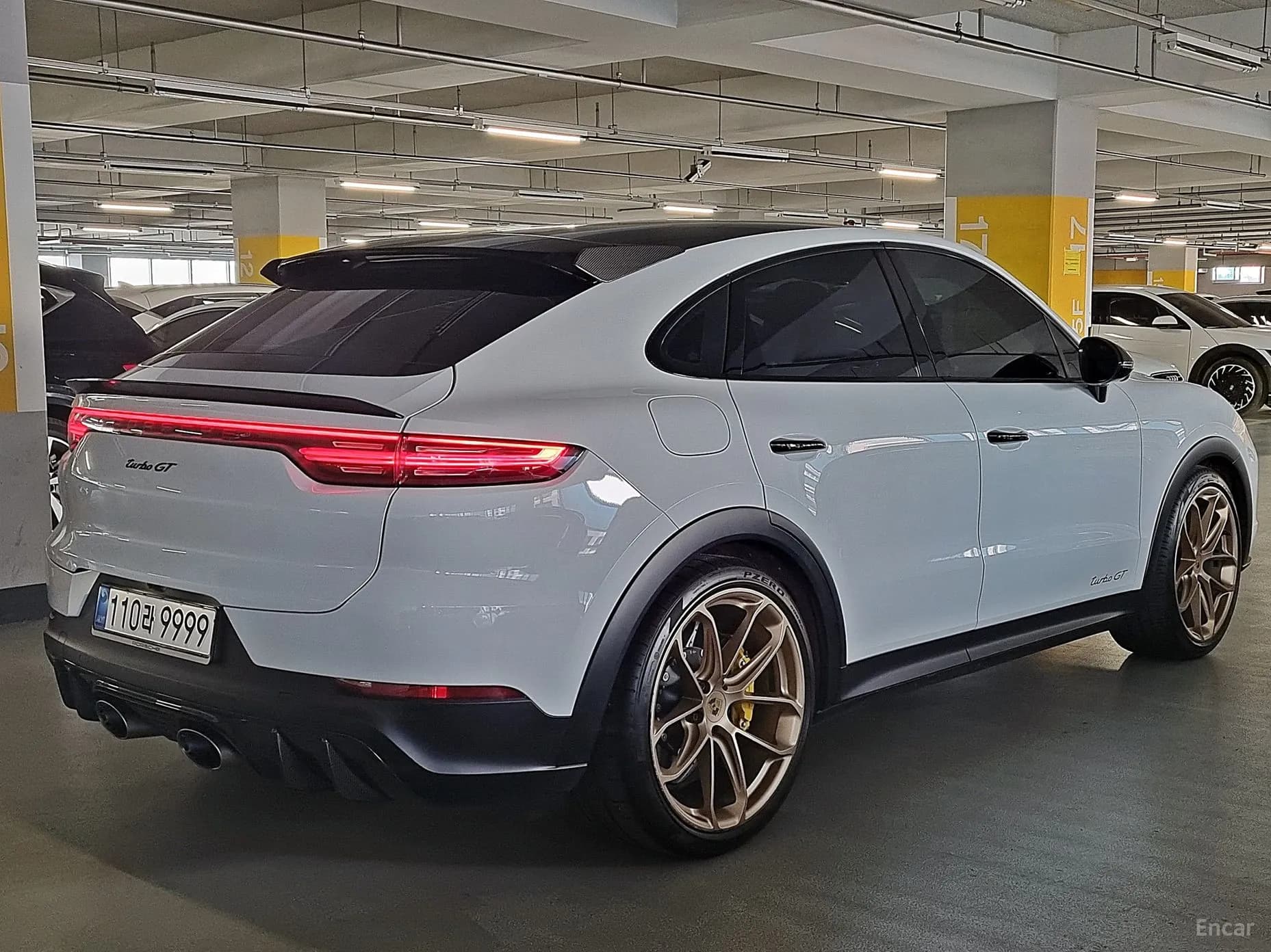 Cayenne (PO536)