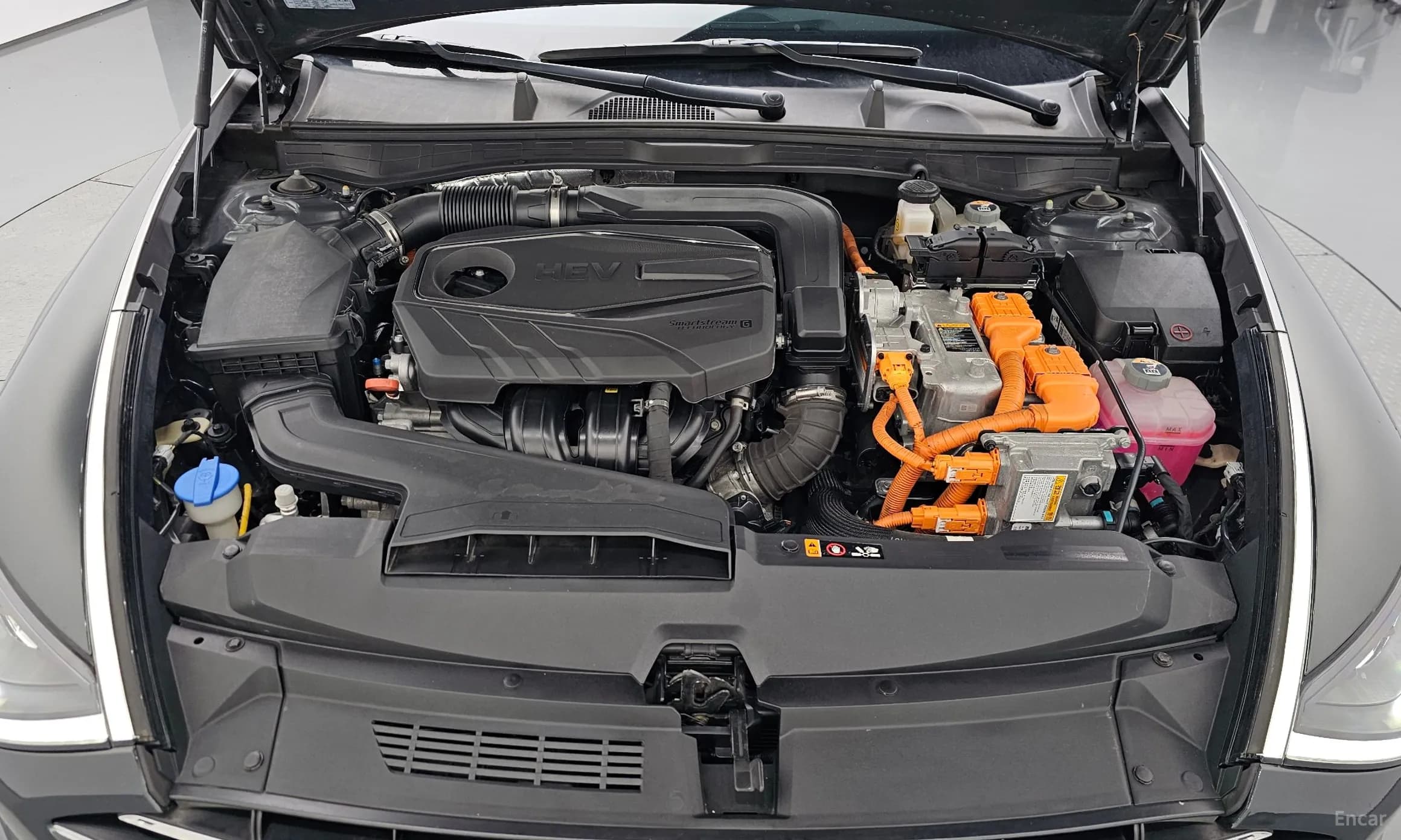 Sonata Hybrid (DN8)