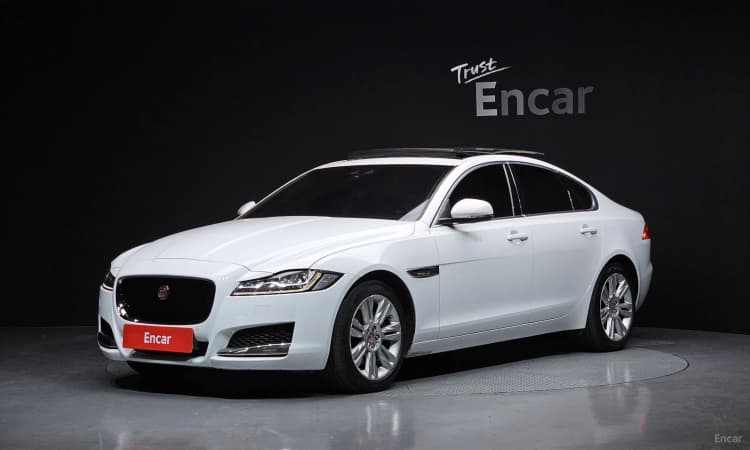 XF (x260)