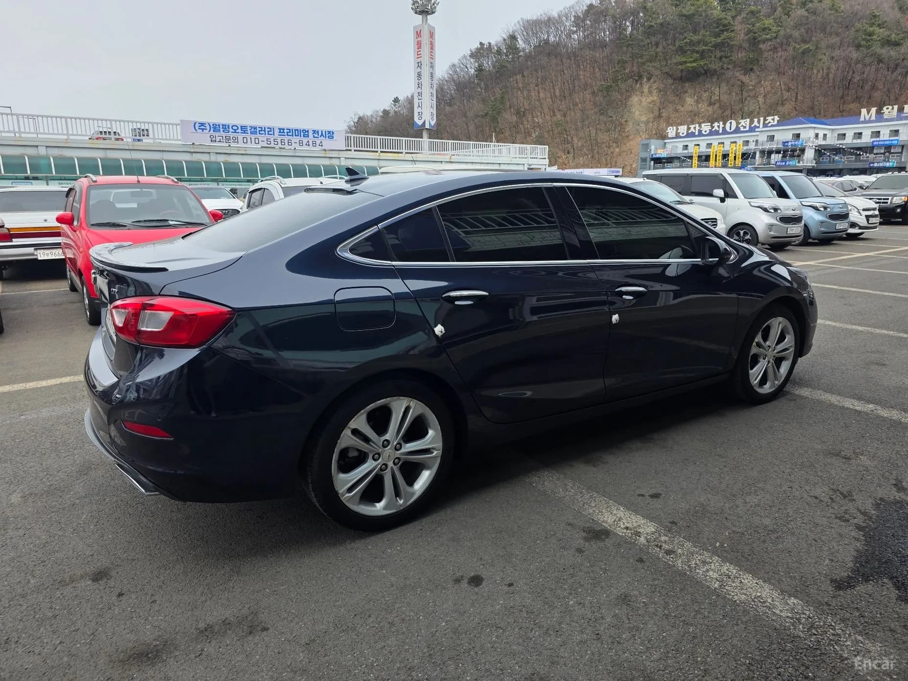 Cruze
