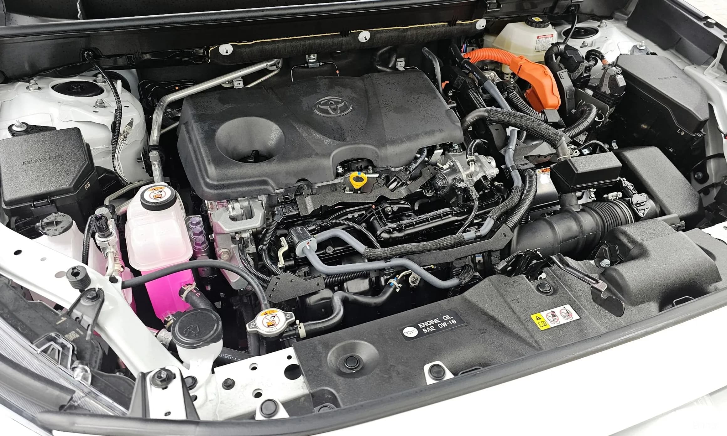 RAV4 5th Generation