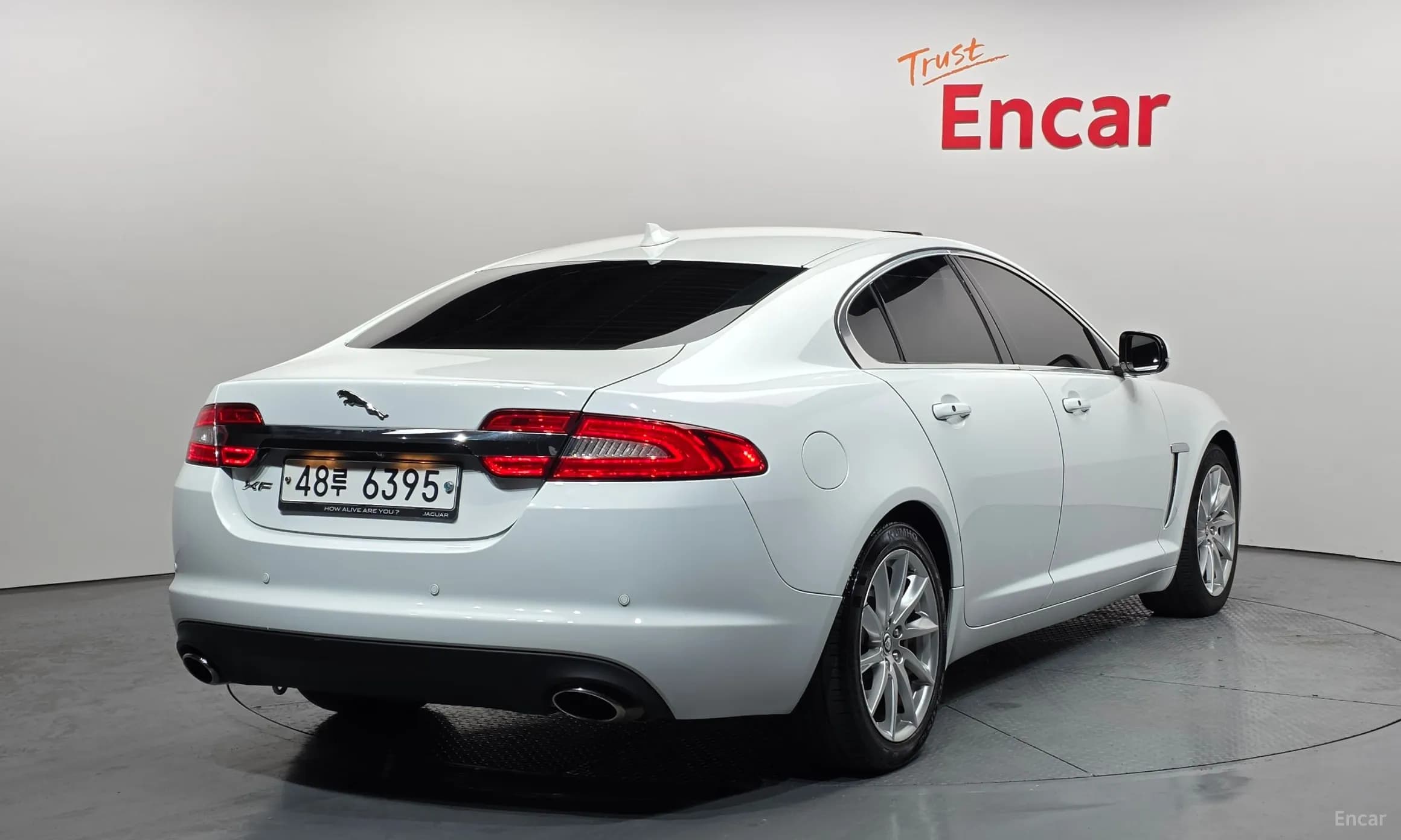 New XF