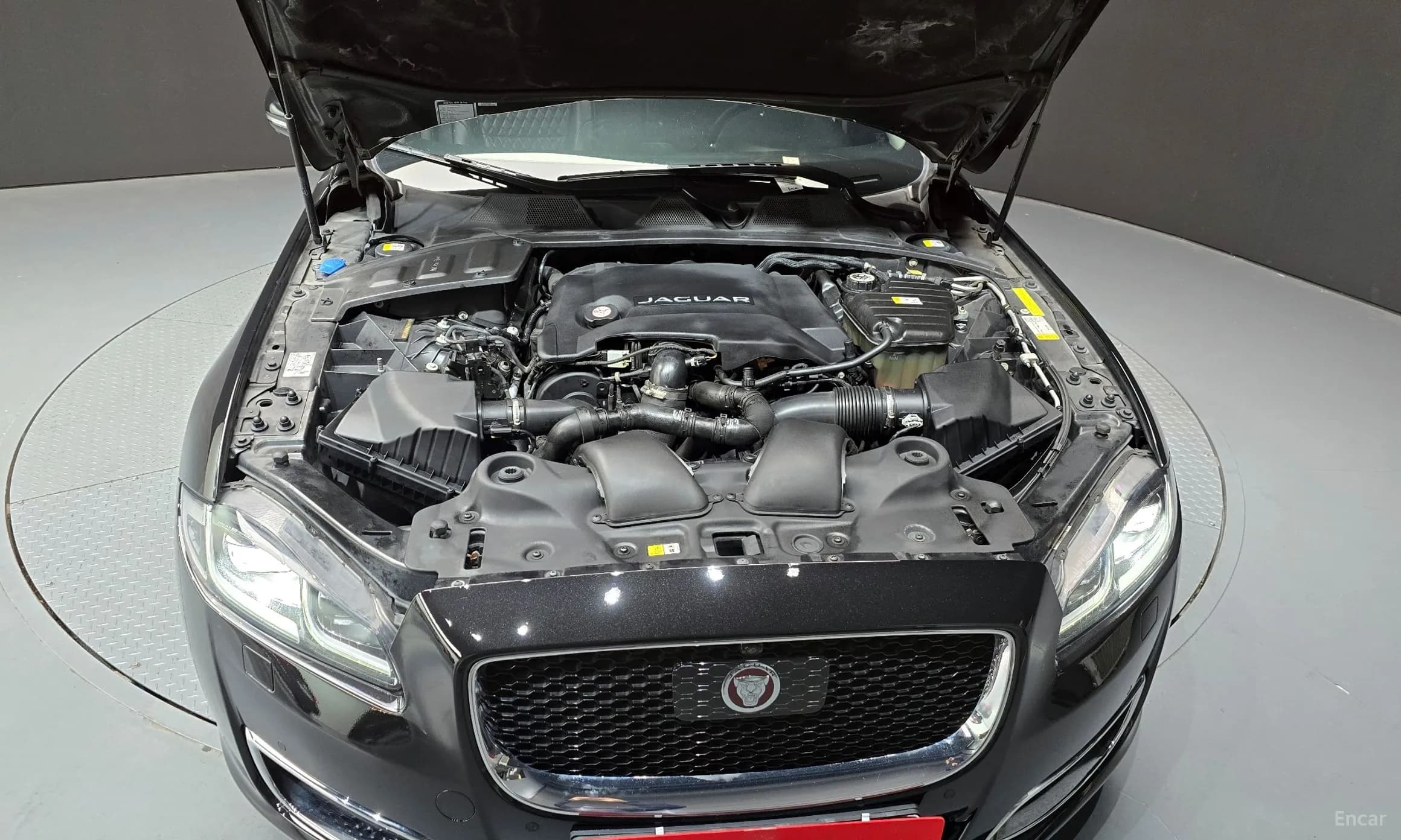 All New XJ