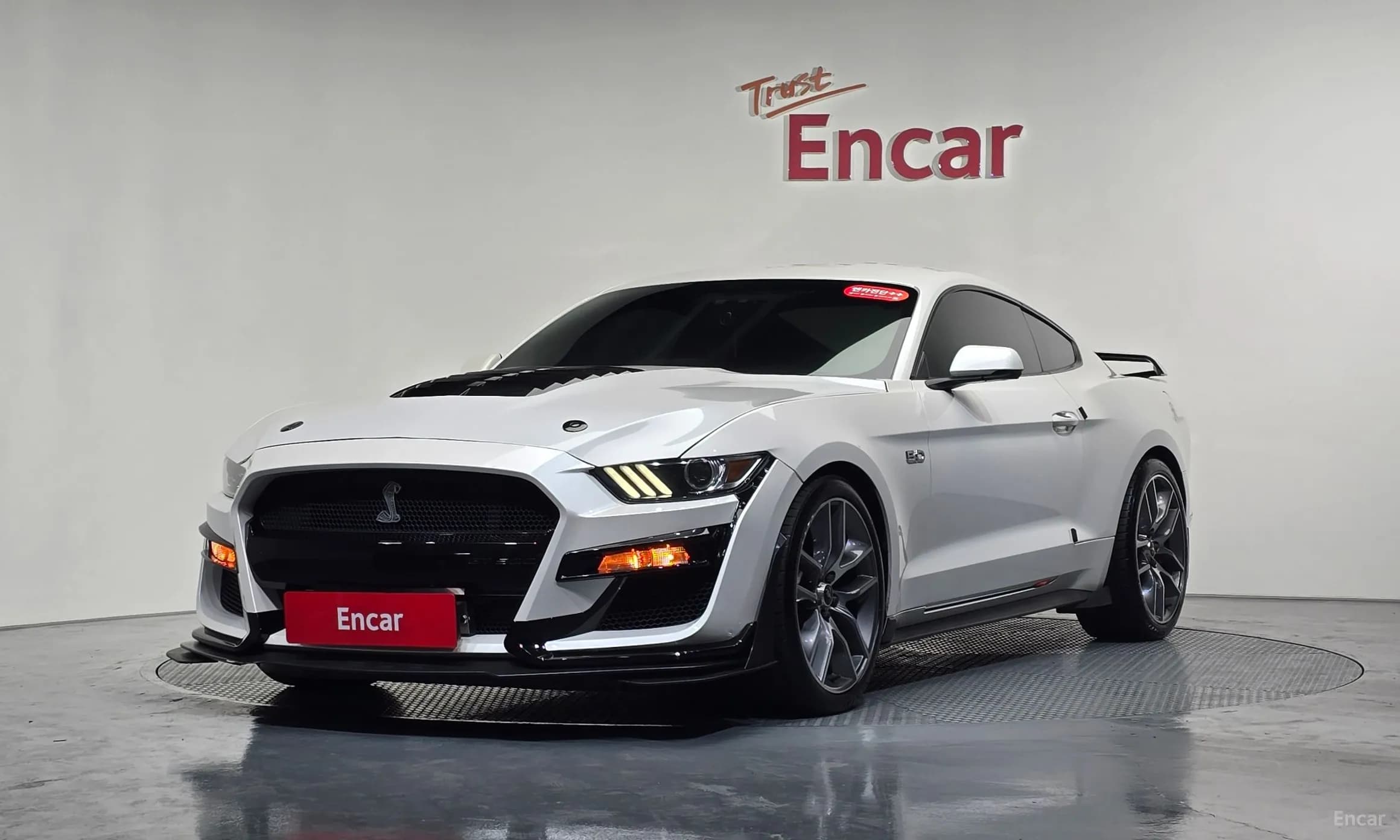 Mustang