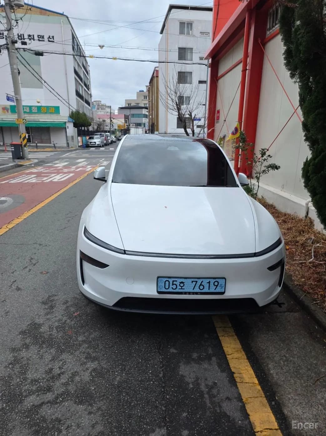 Model Y