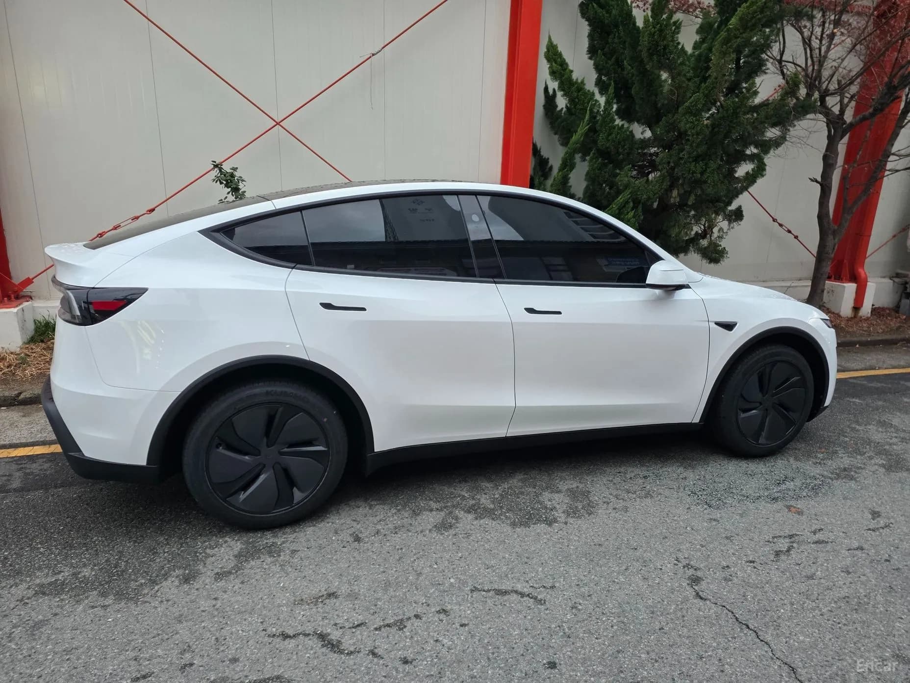 Model Y