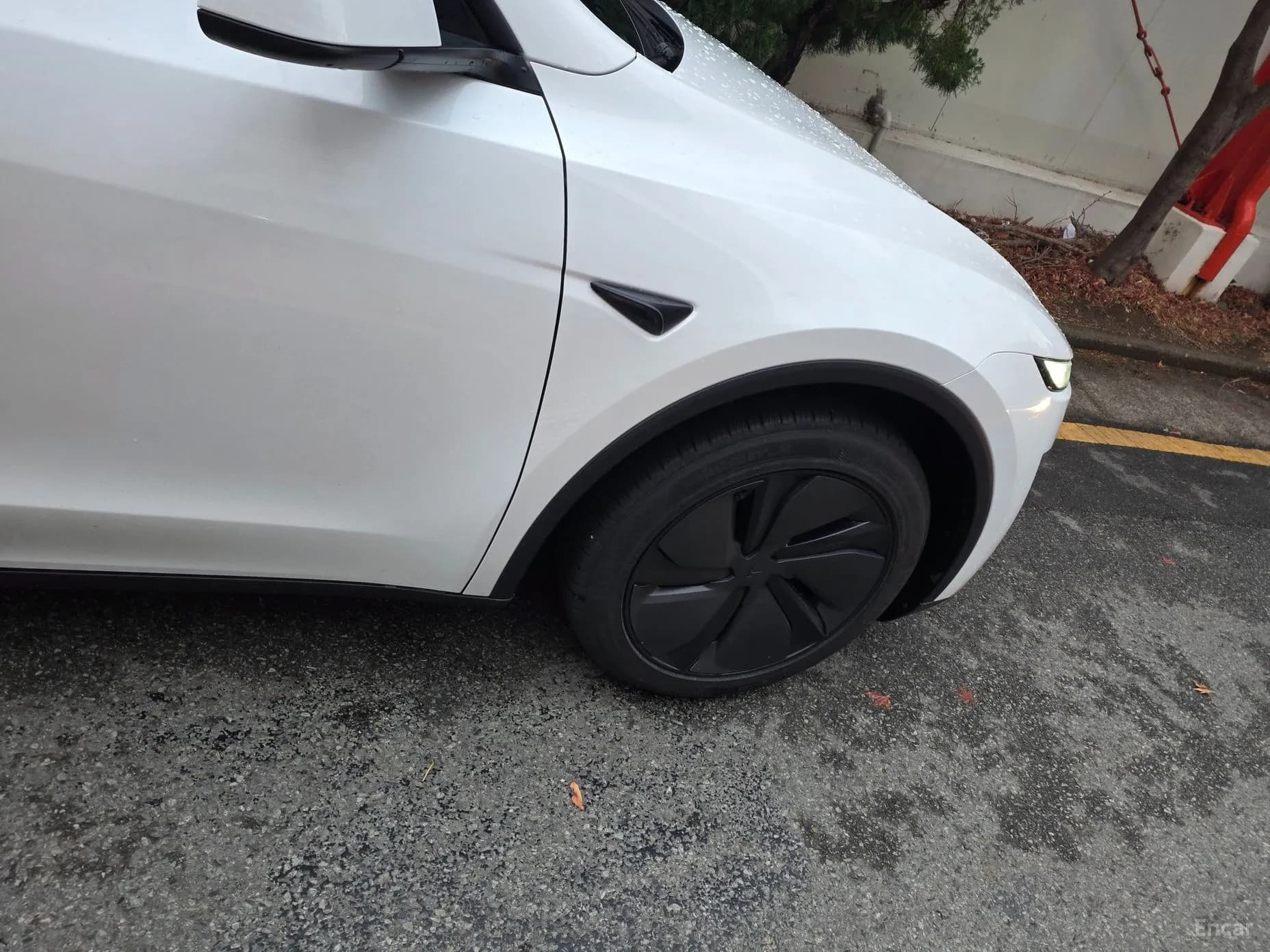 Model Y