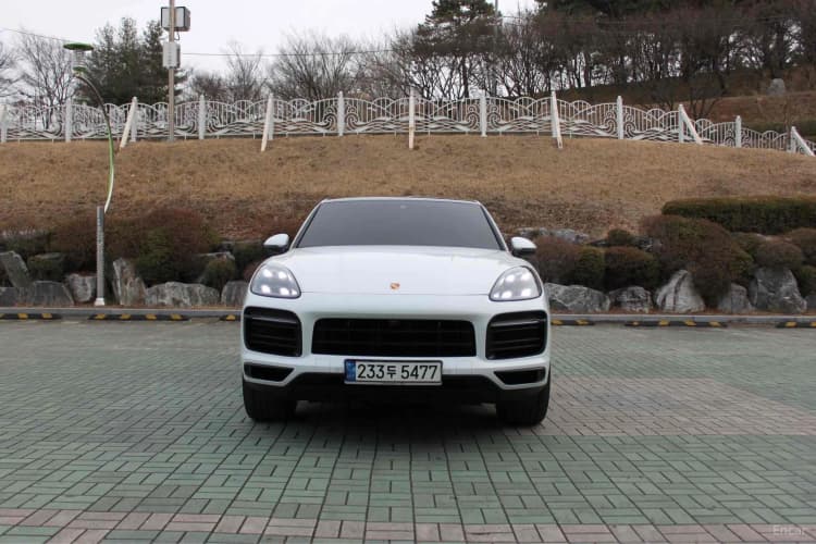 Cayenne (PO536)