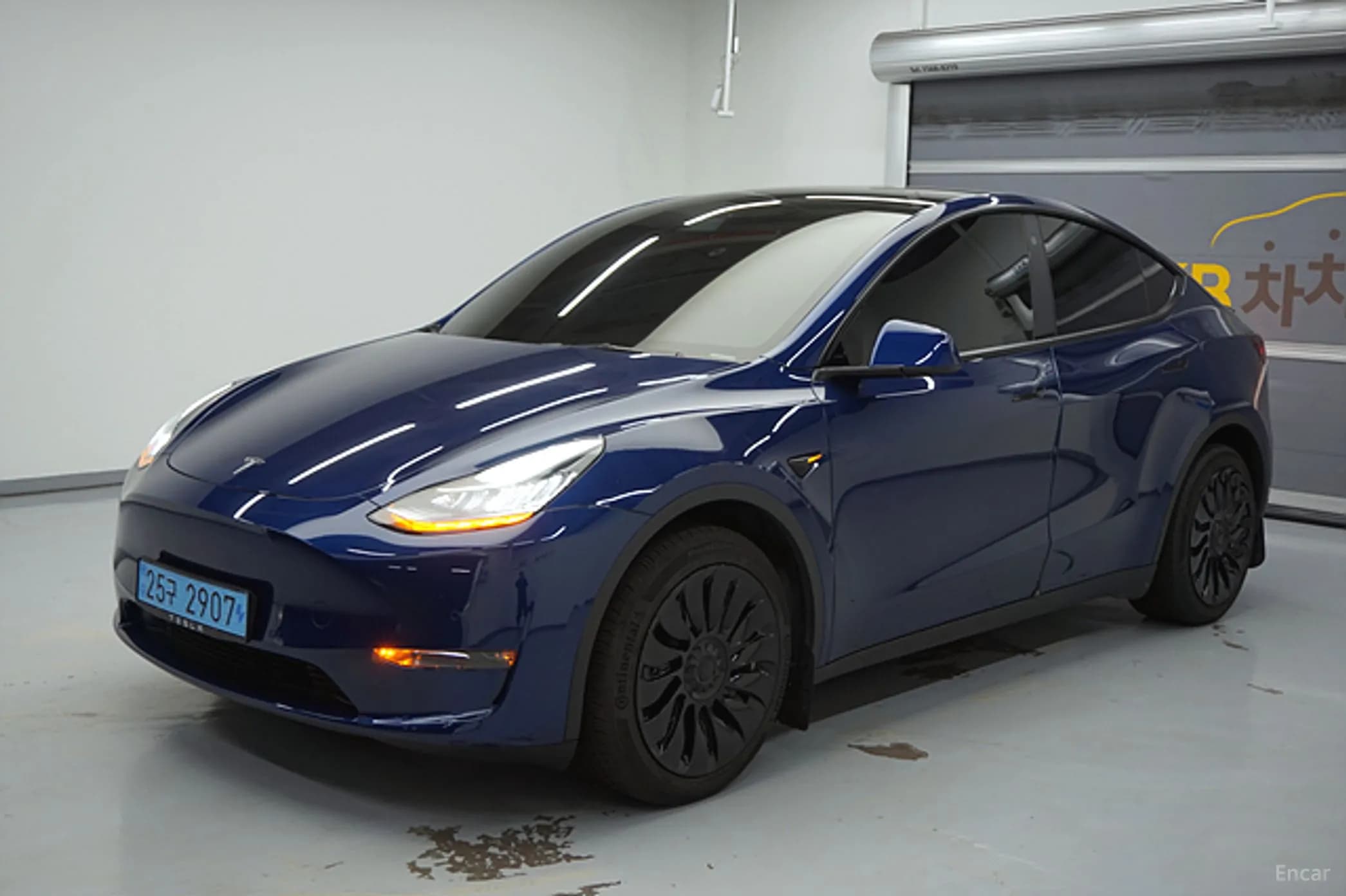 Model Y