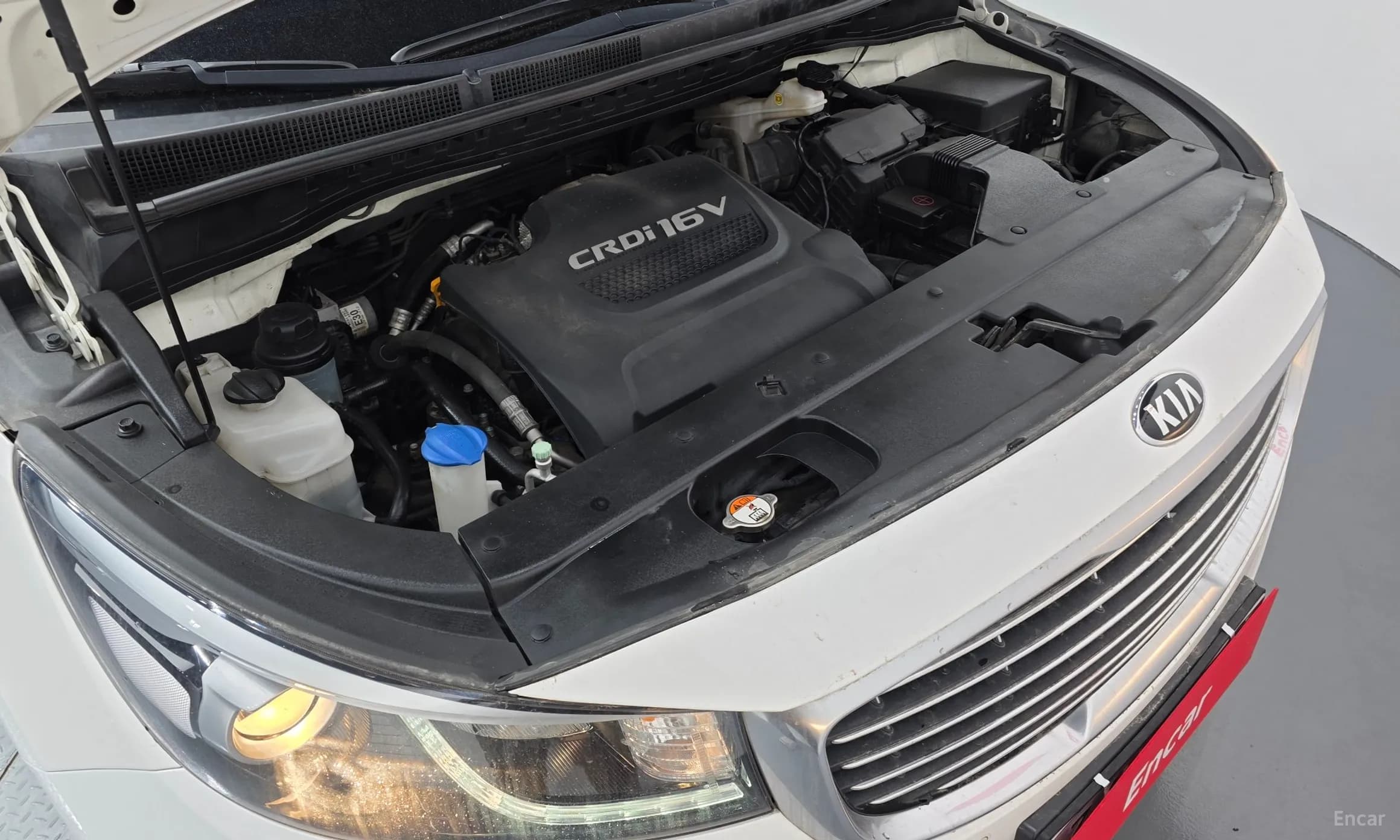 Carnival