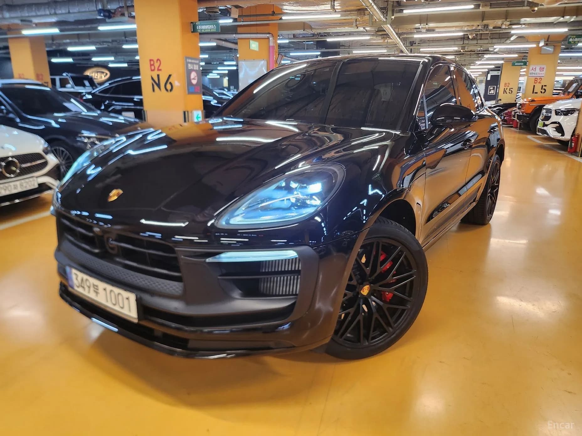Macan
