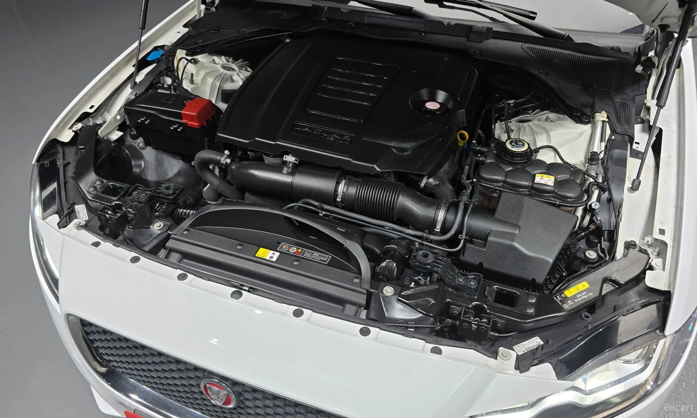 XF (x260)