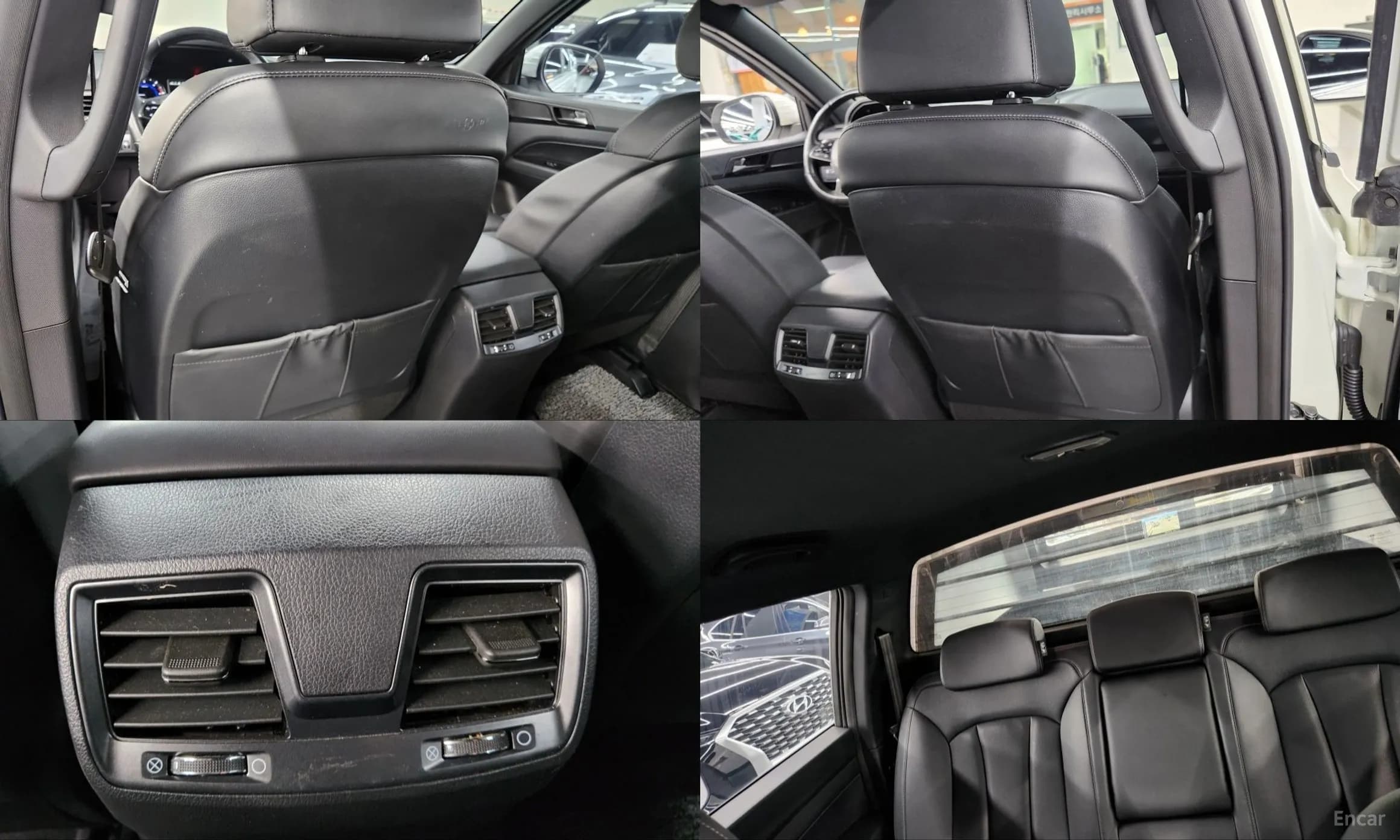 Rexton Sports